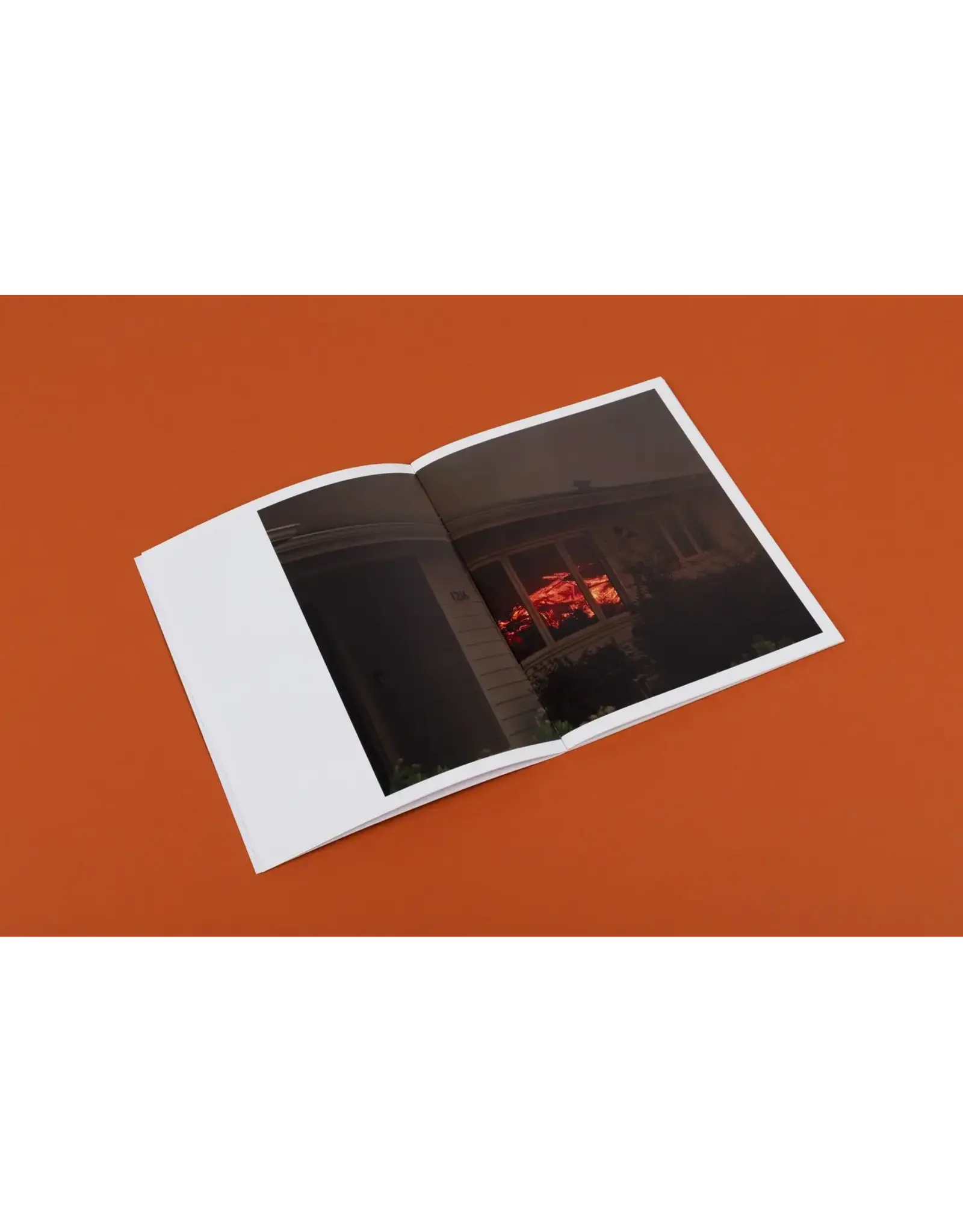 Philip Cheung: Wildfire