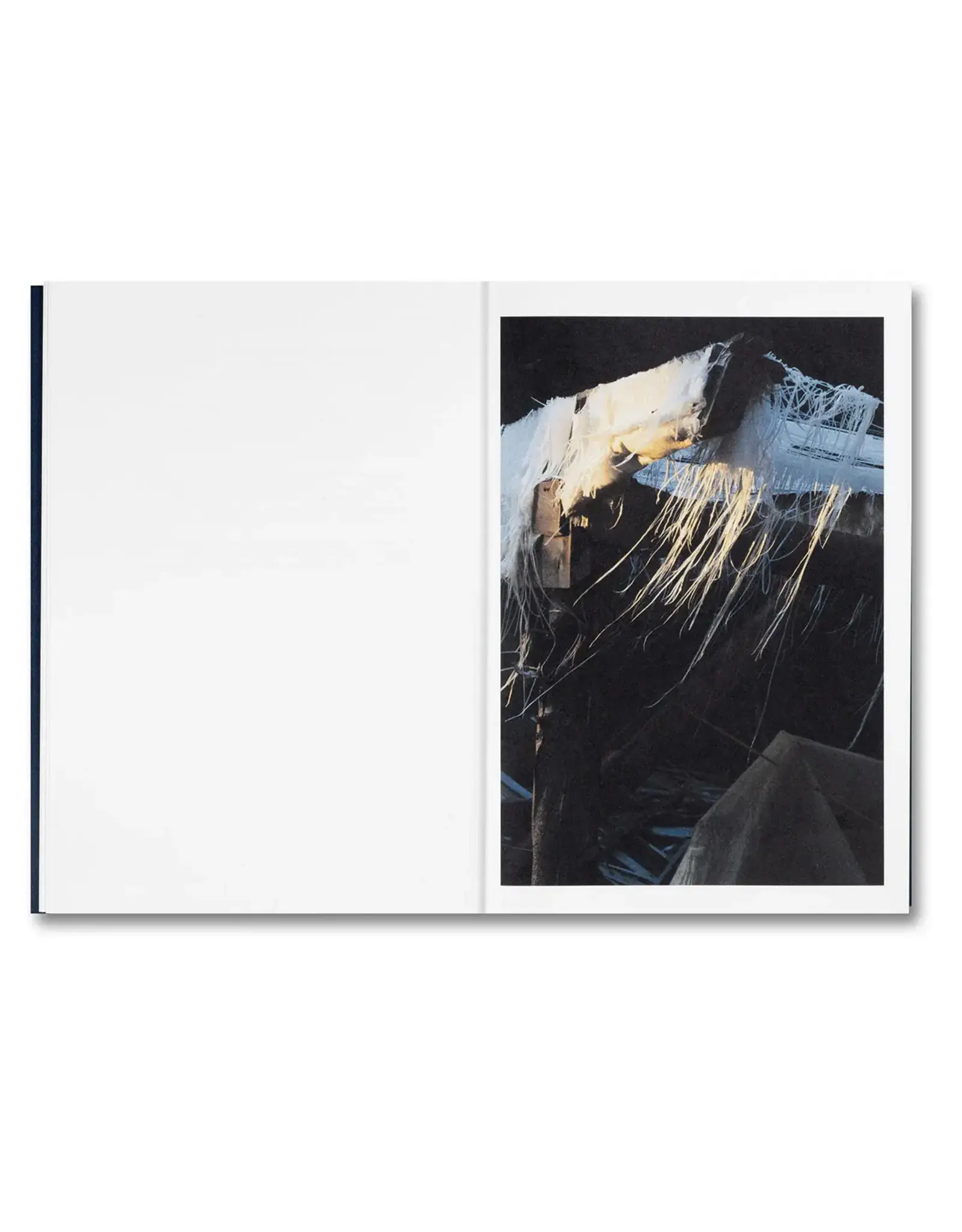 Anne Golaz: La casa isla