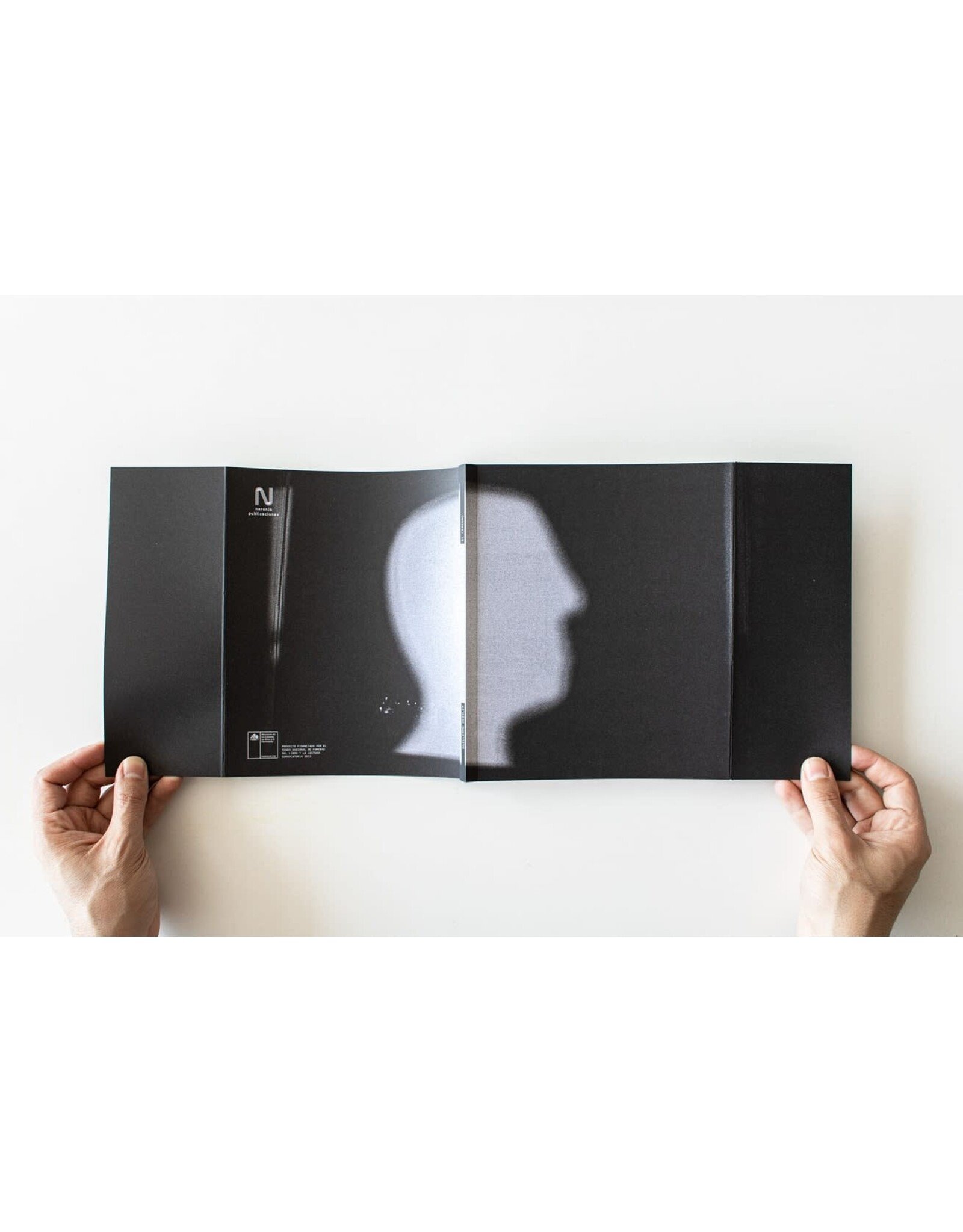 Guillermo Deisler: El Cerebro