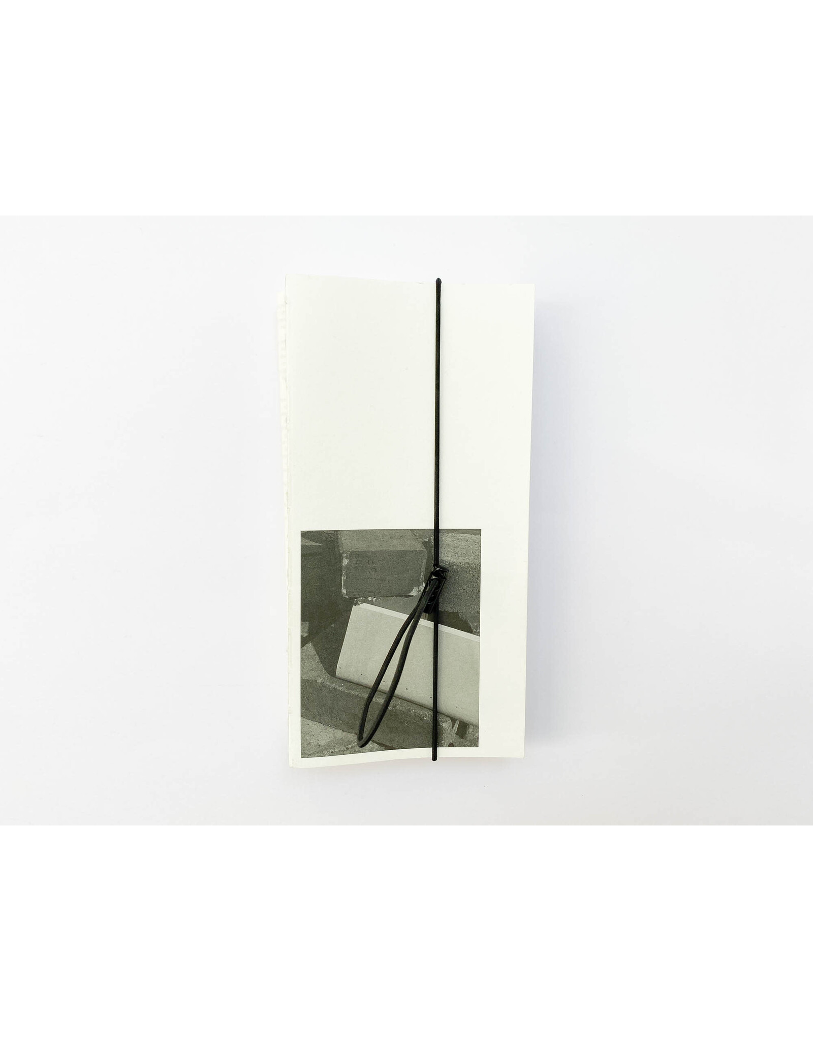 David Gallo: Moving Through Images