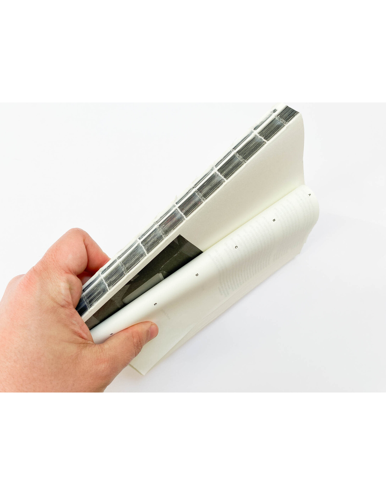 David Gallo: Moving Through Images