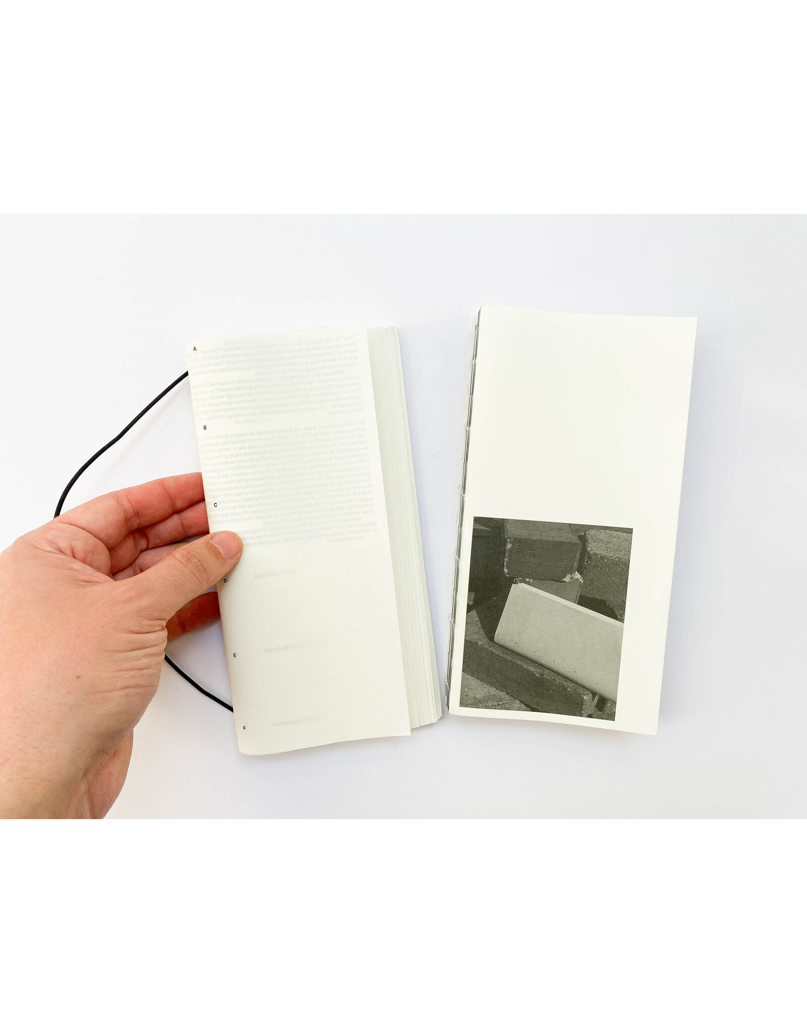 David Gallo: Moving Through Images