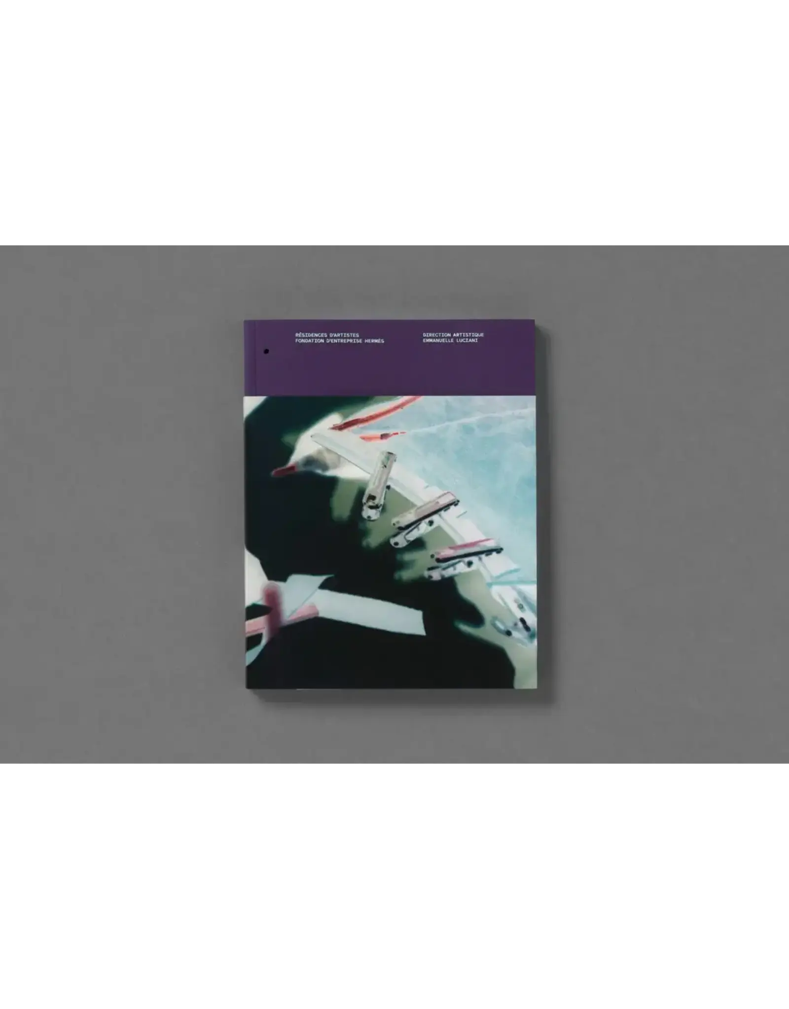 Passé Présent Futur: Emmanuelle Luciani