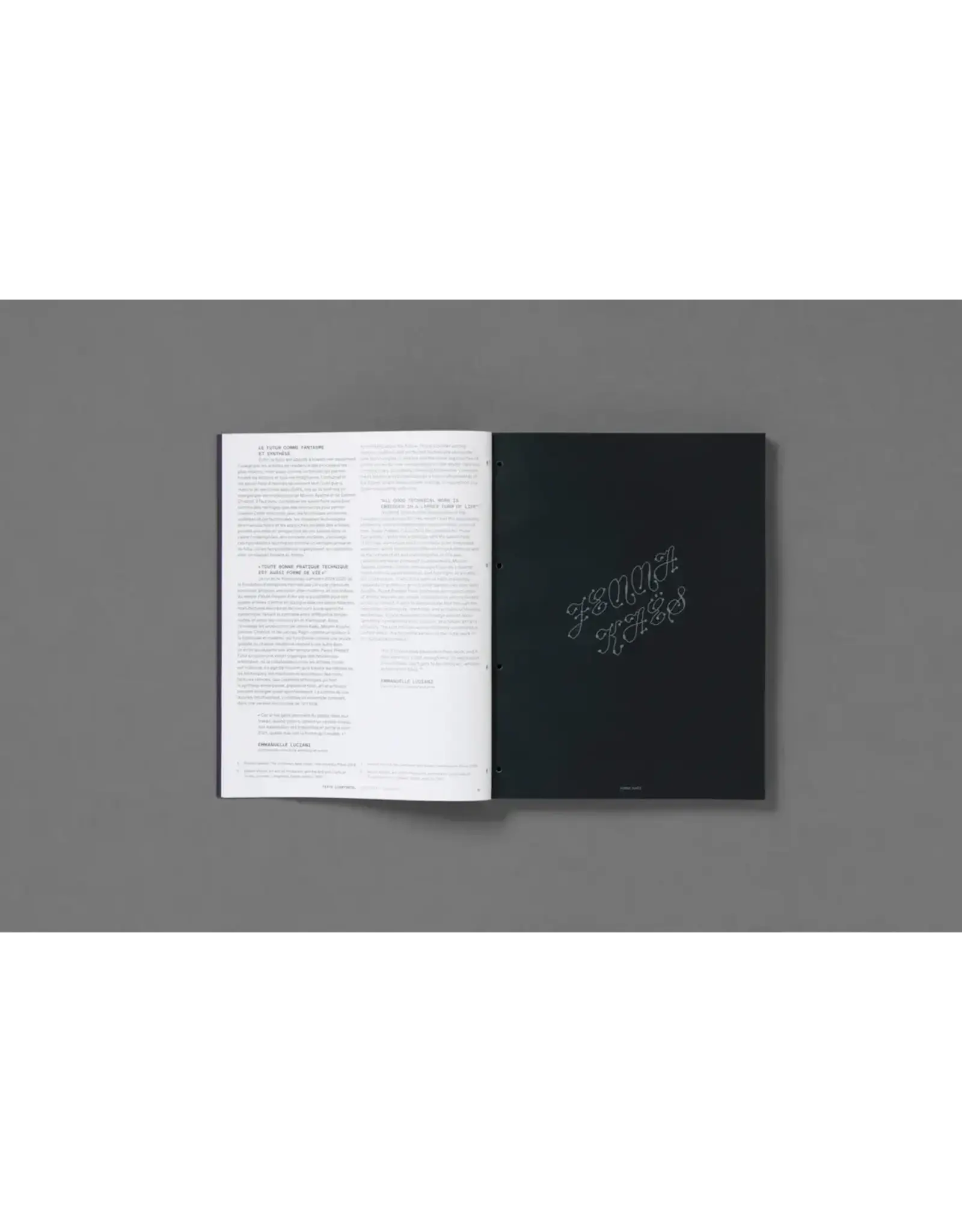 Passé Présent Futur: Emmanuelle Luciani