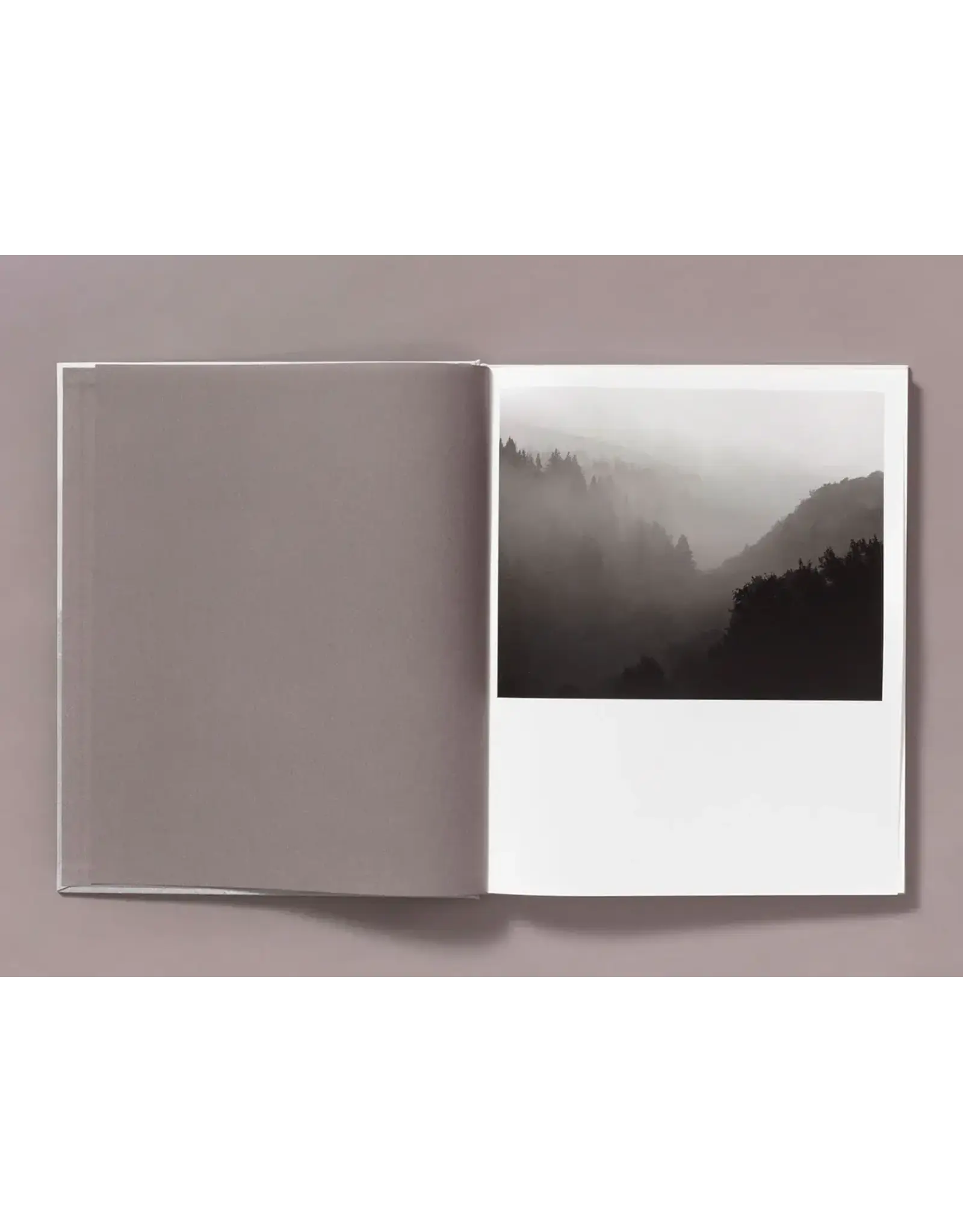 Ian Bates: The Weight Of Ash