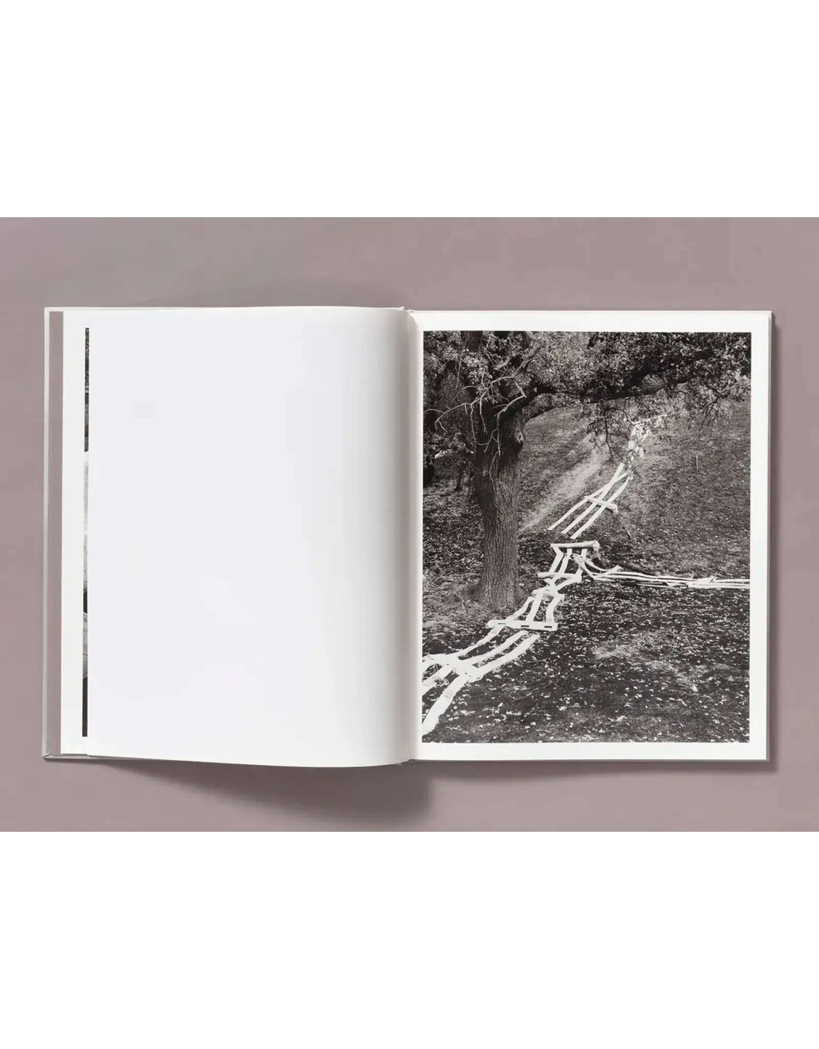 Ian Bates: The Weight Of Ash