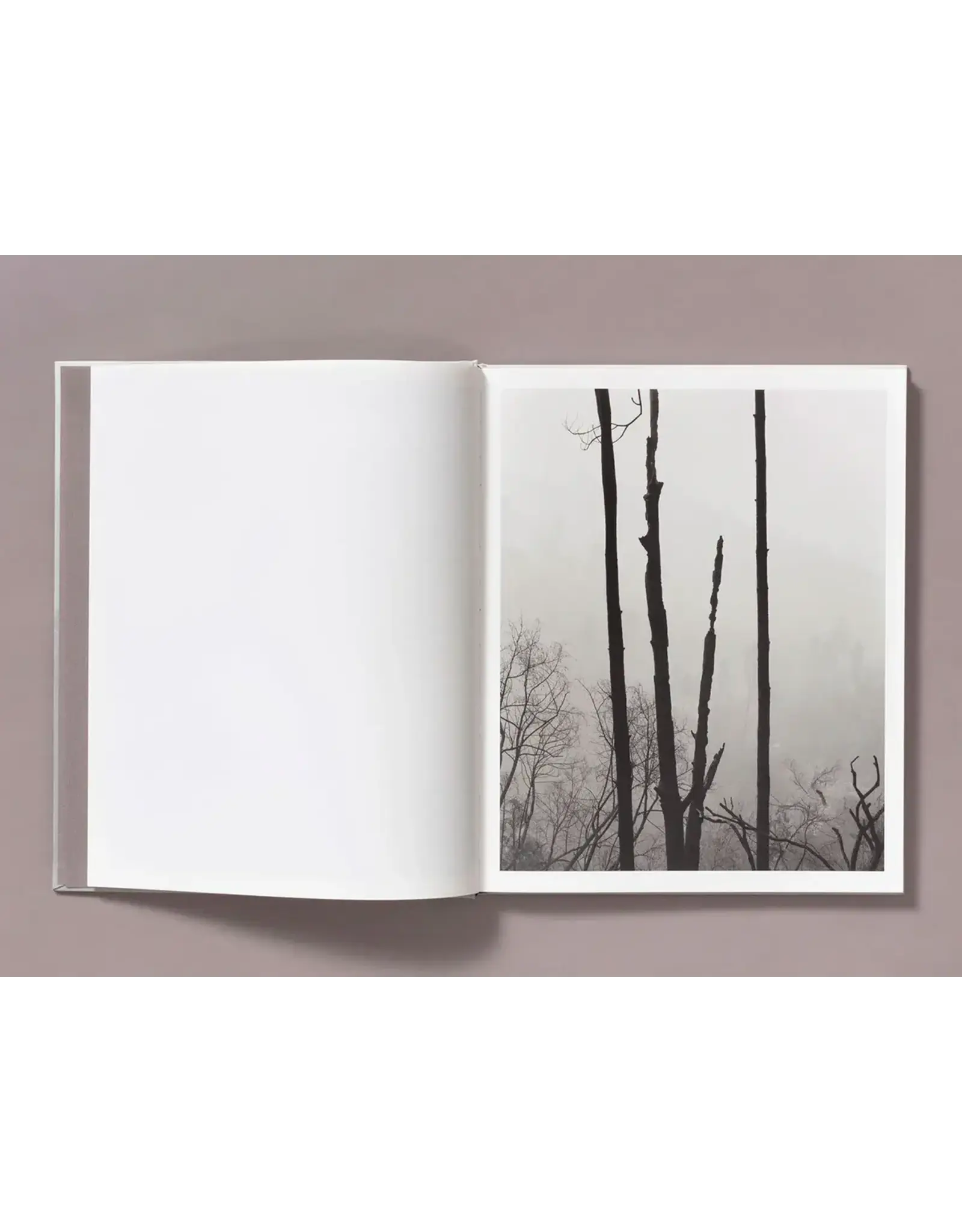 Ian Bates: The Weight Of Ash