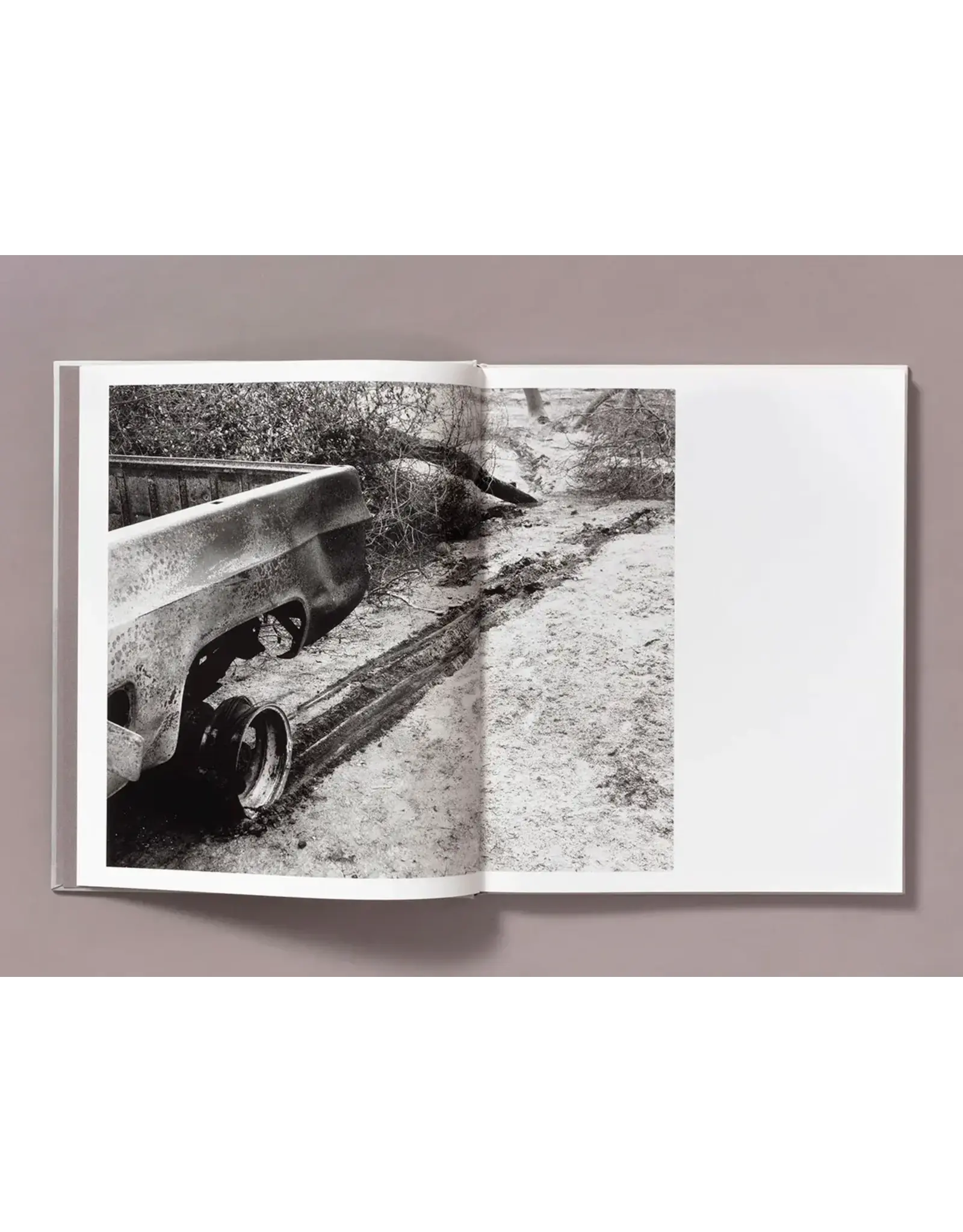 Ian Bates: The Weight Of Ash