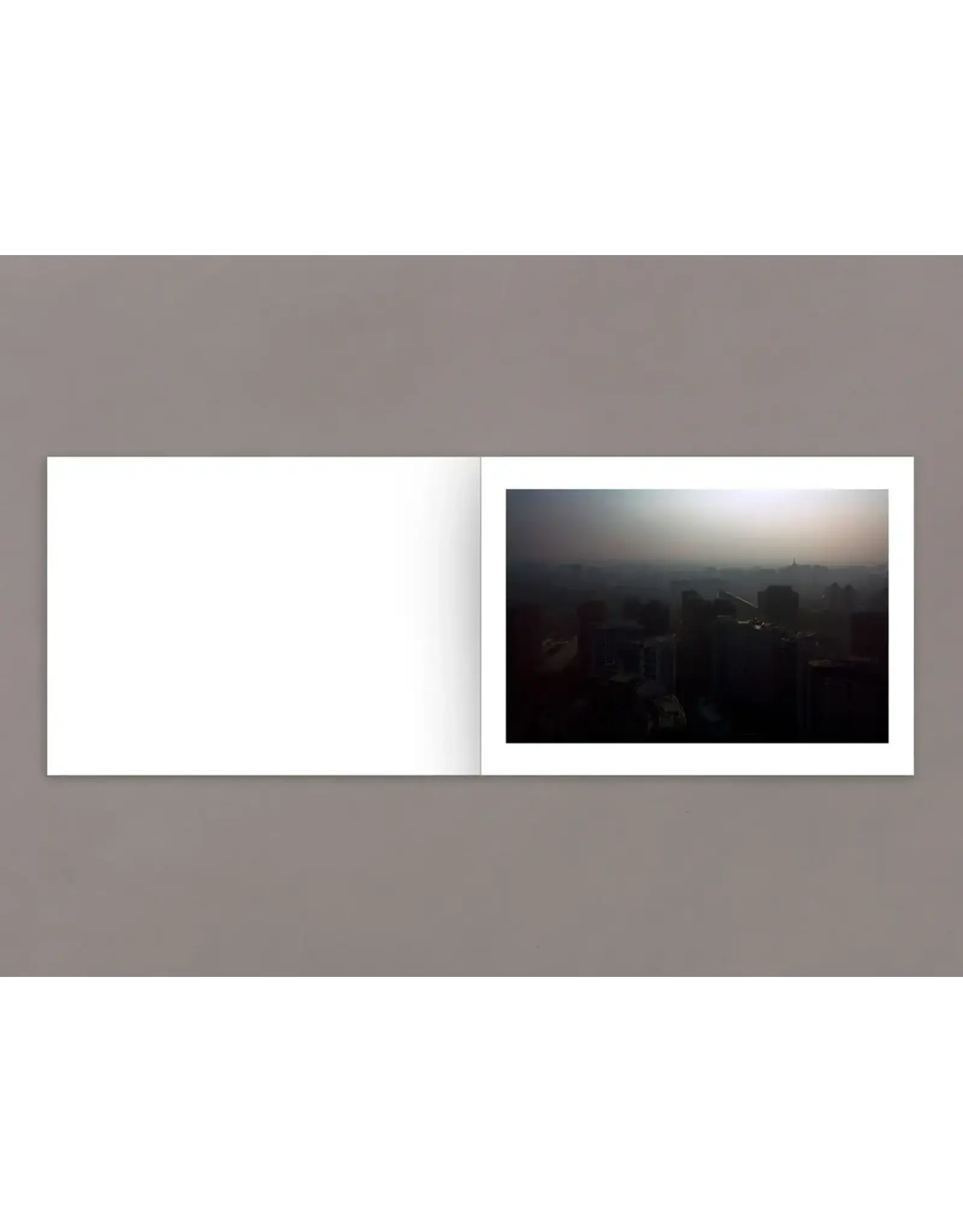 Daniel Lee Postaer: Mother's Land