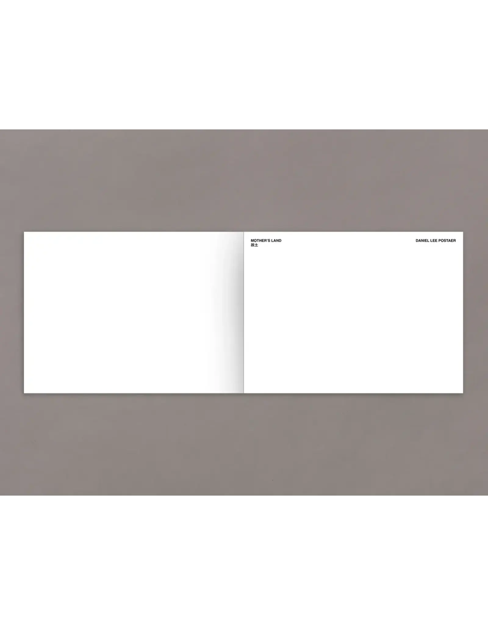 Daniel Lee Postaer: Mother's Land