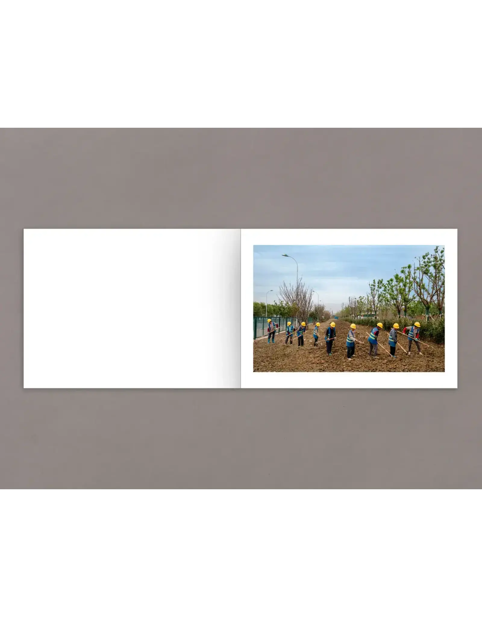 Daniel Lee Postaer: Mother's Land