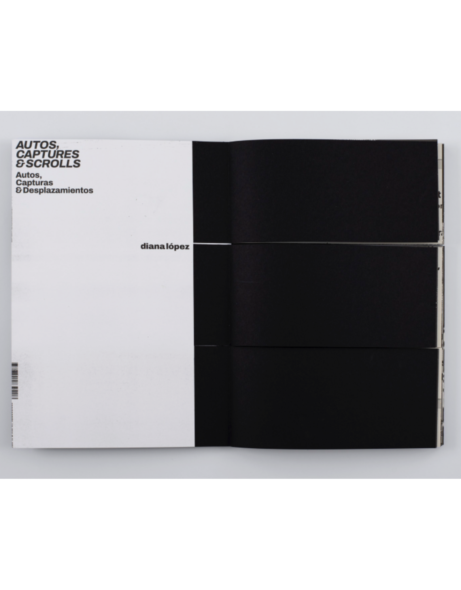 Diana Lopez: 101 Dianas