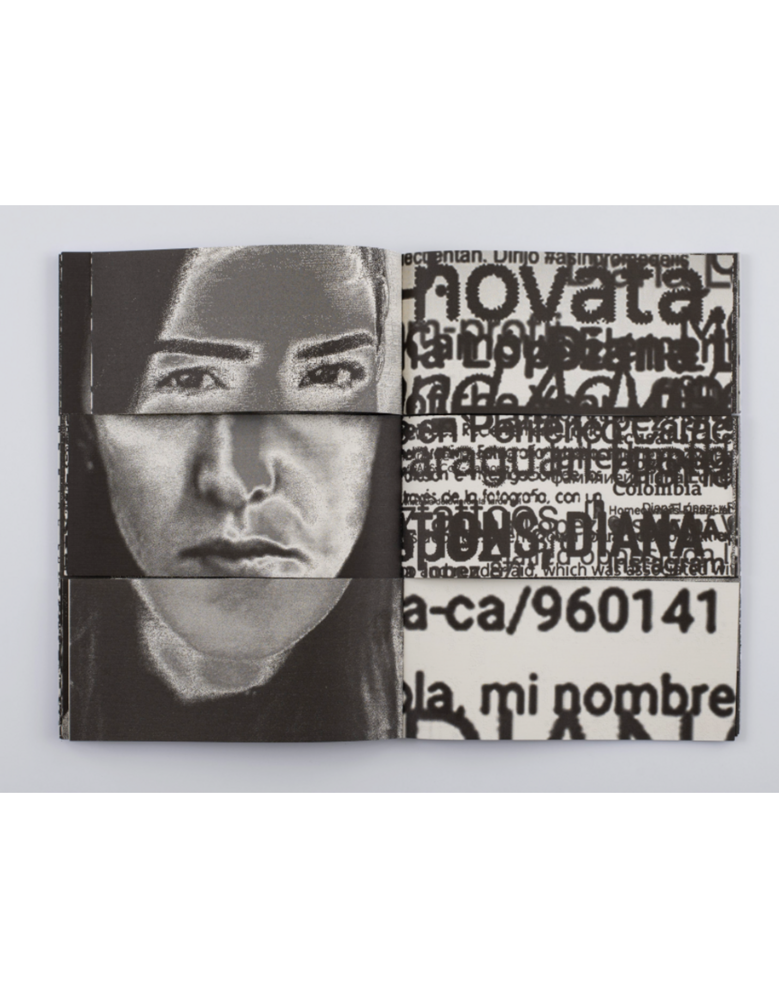 Diana Lopez: 101 Dianas