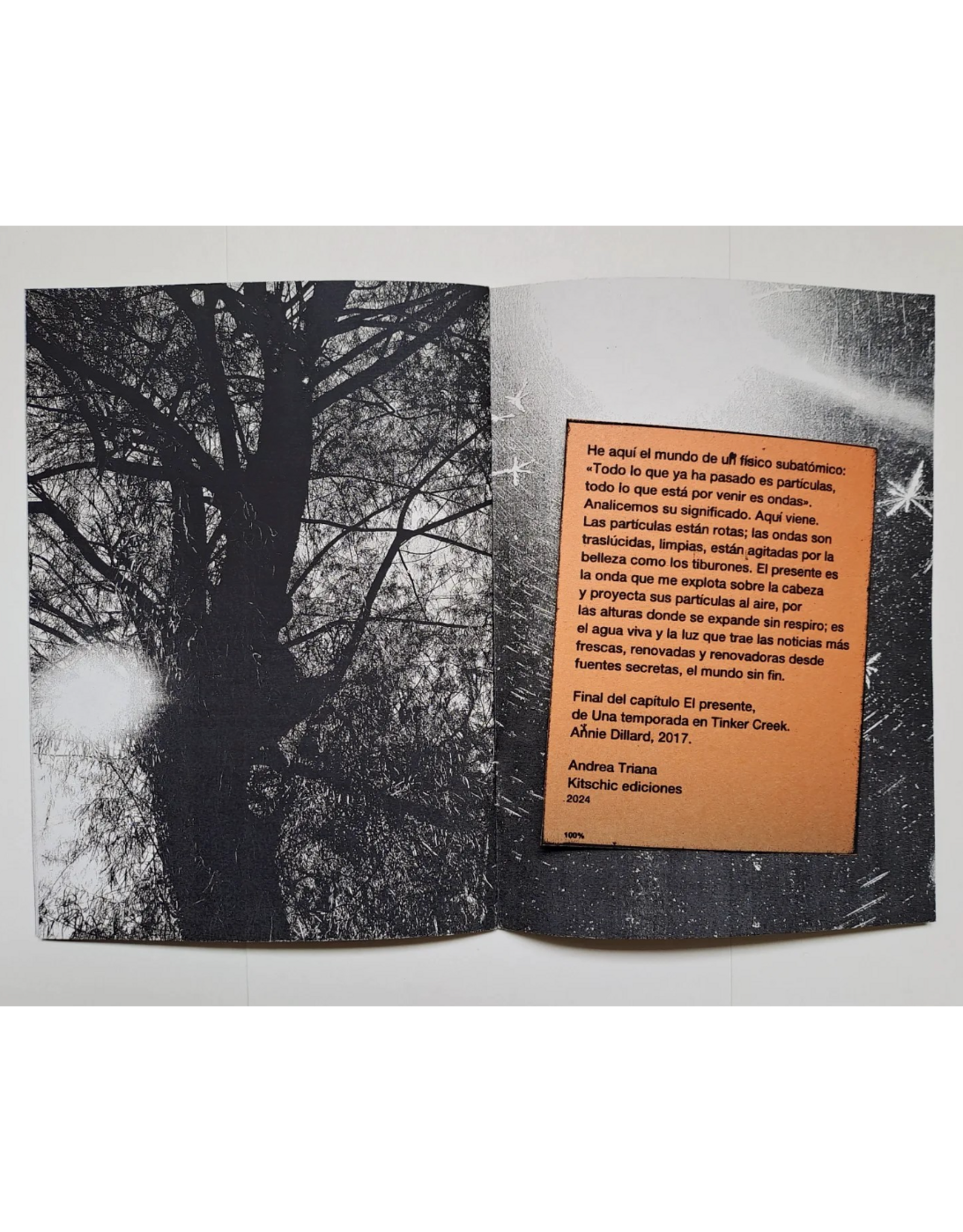 Andrea Triana: He aquí el mundo de un físico subatómico