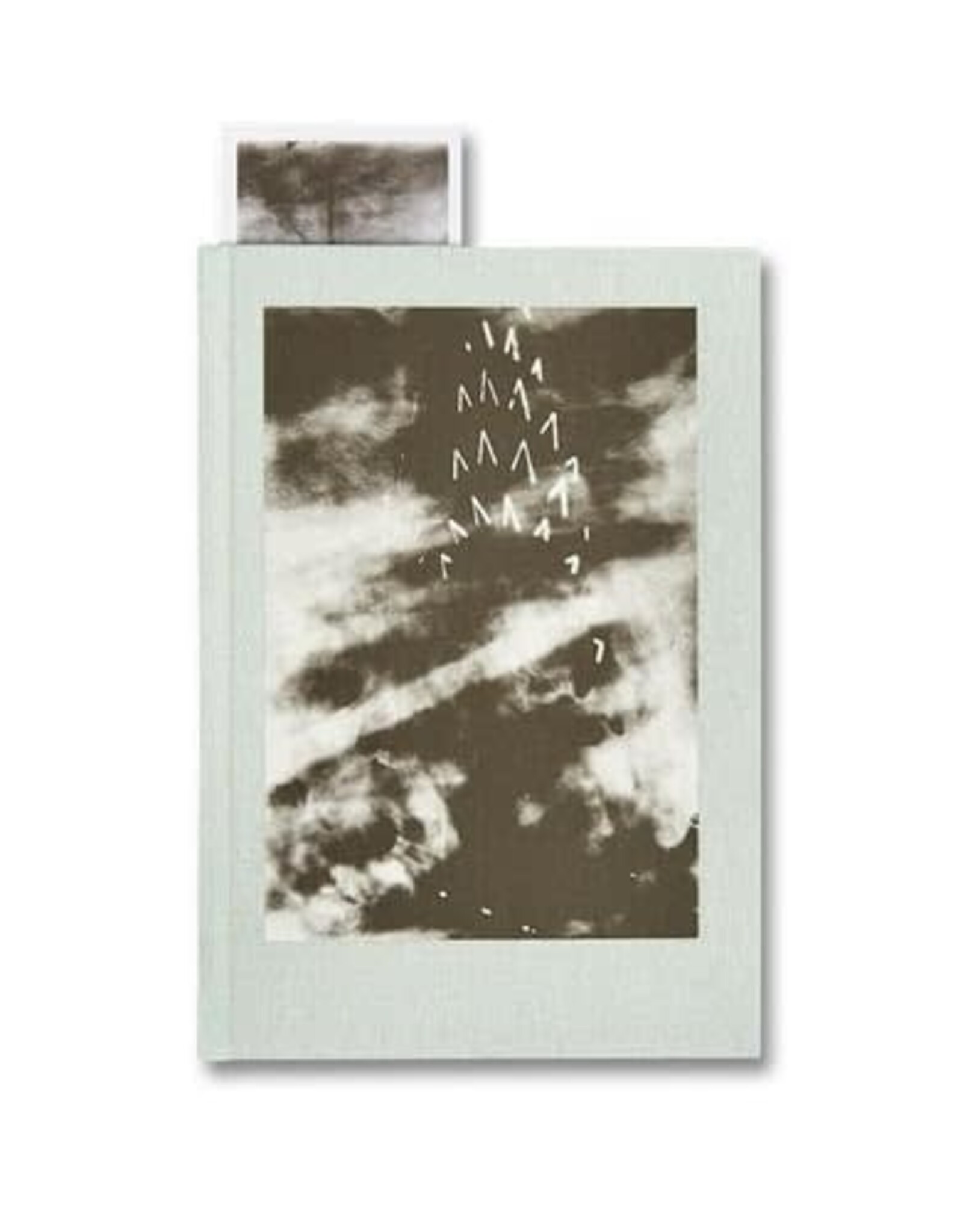 The Narcissistic City Notebook