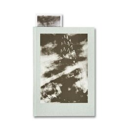 The Narcissistic City Notebook