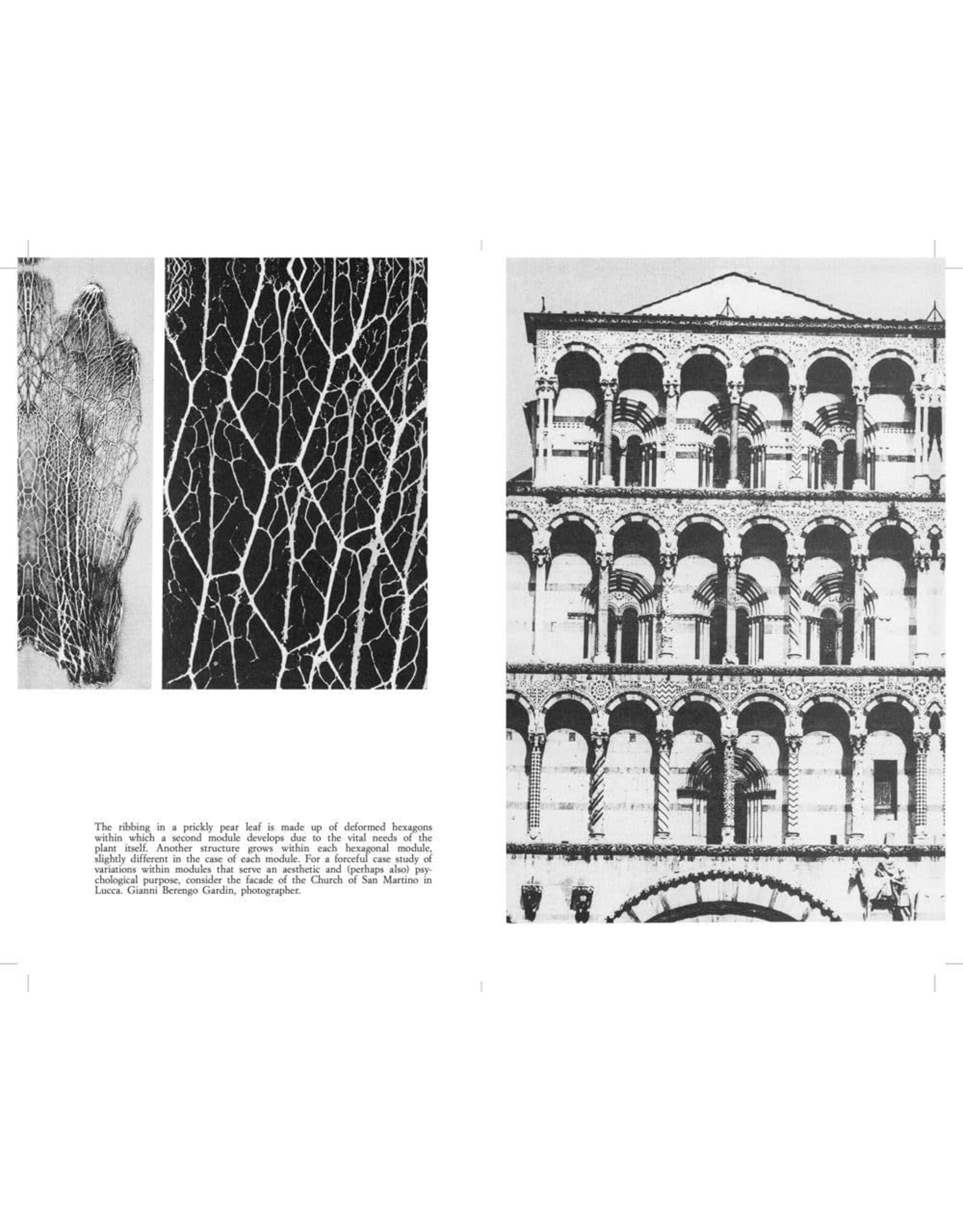 Bruno Munari: Design and Visual Communication