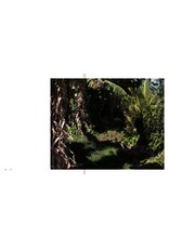 Genesis Báez: Blue Sun