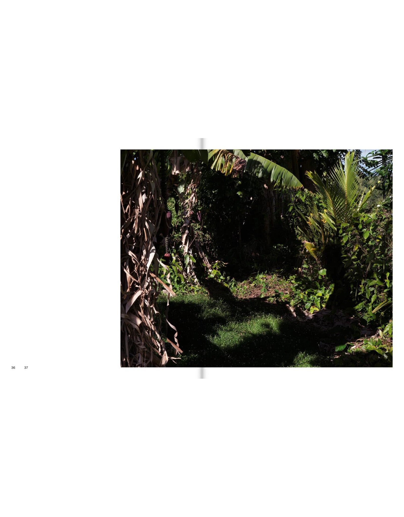 Genesis Báez: Blue Sun