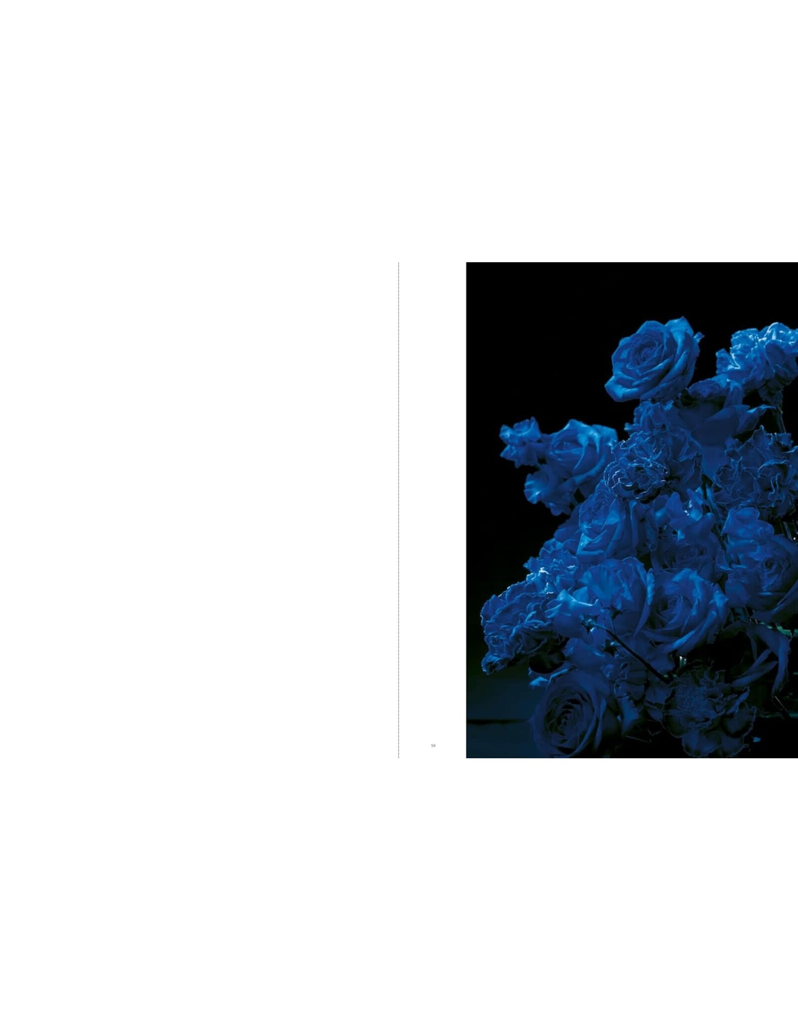 Sakiko Nomura: Tender Is the Night