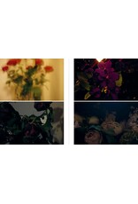 Sakiko Nomura: Tender Is the Night