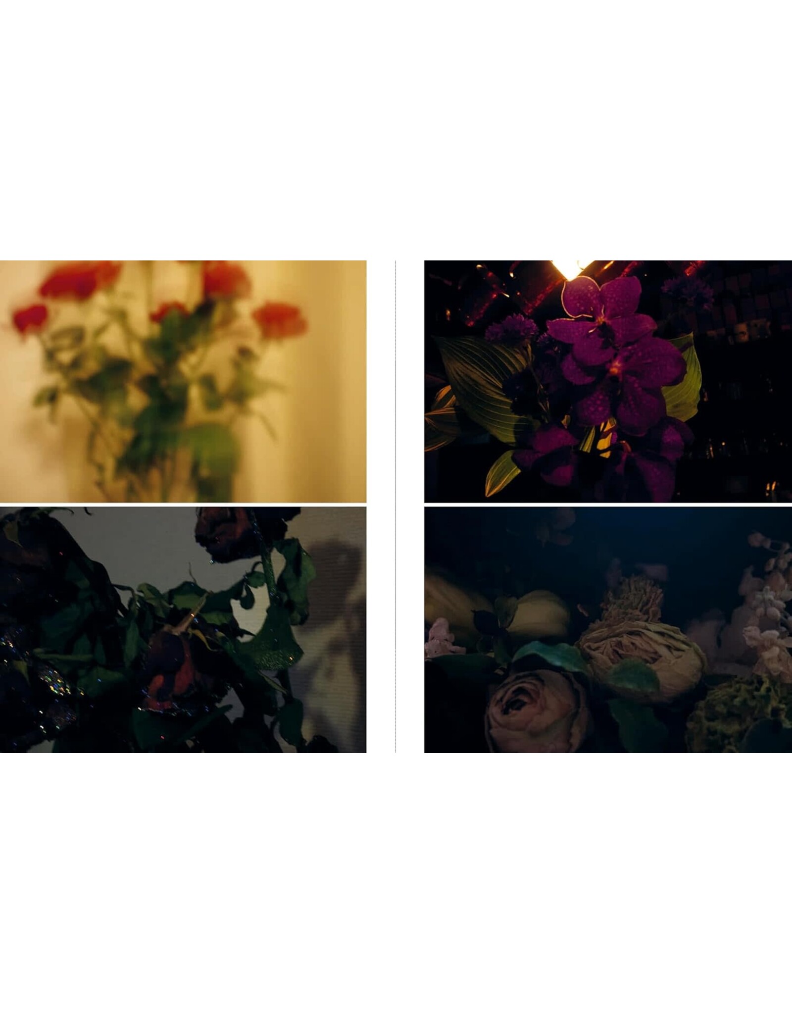 Sakiko Nomura: Tender Is the Night