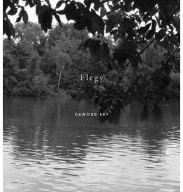 Dawoud Bey: An American Elegy