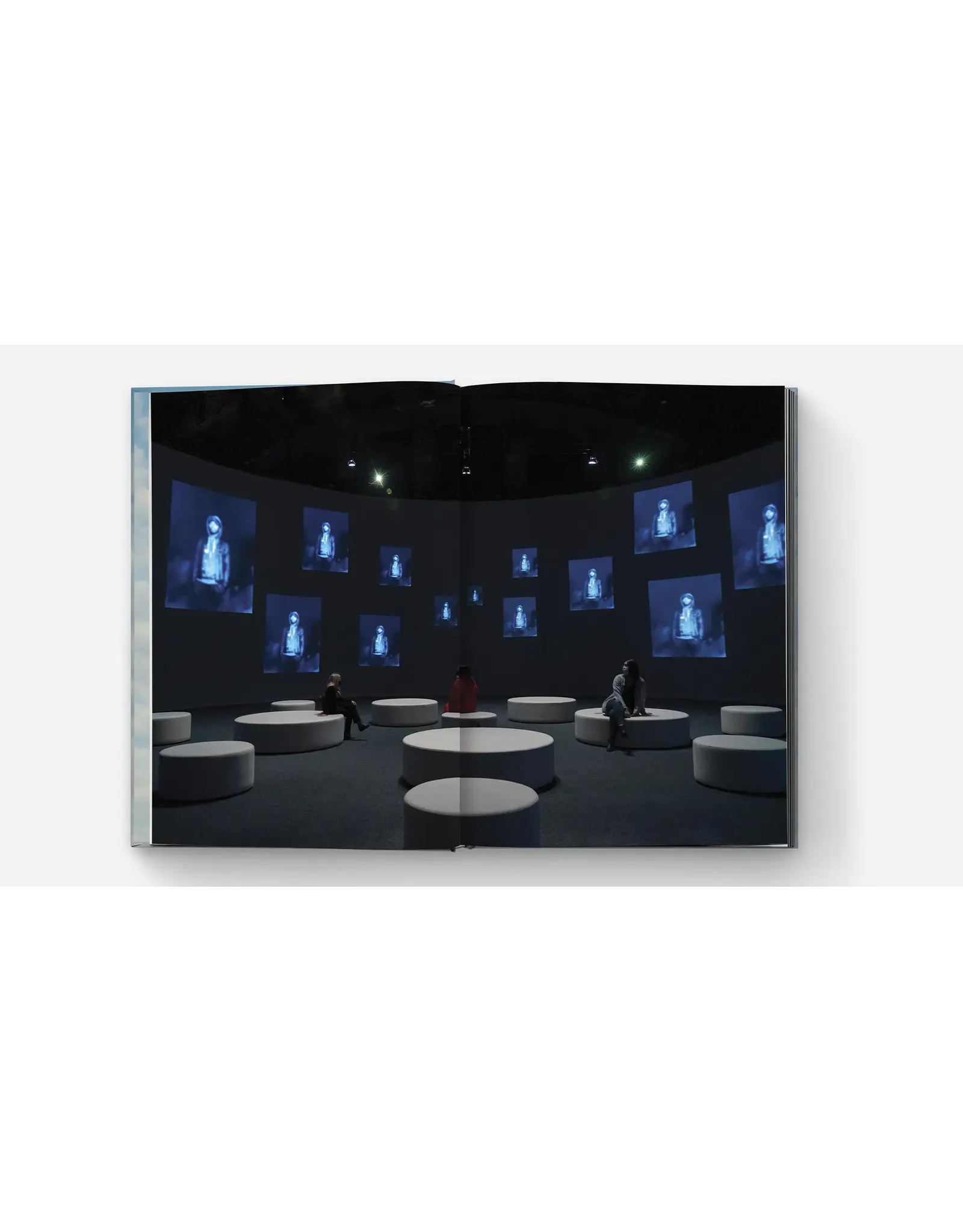 Carrie Mae Weems: The Shape of Things