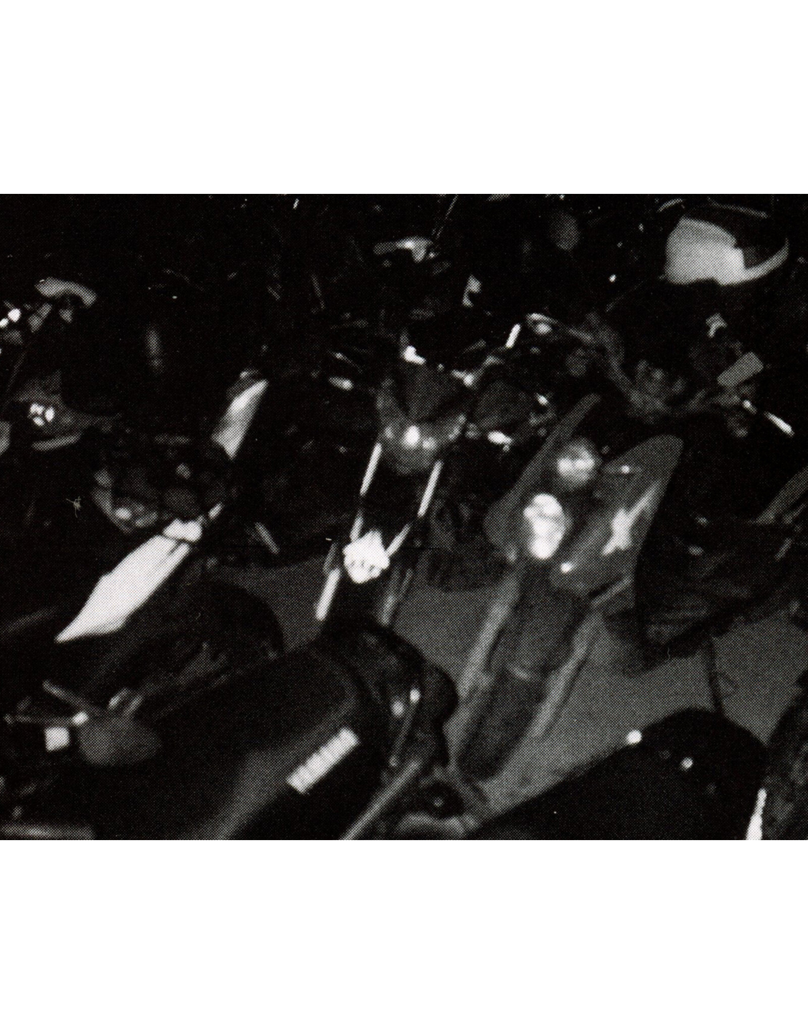 Valeria Giraldo: Aves nocturnas