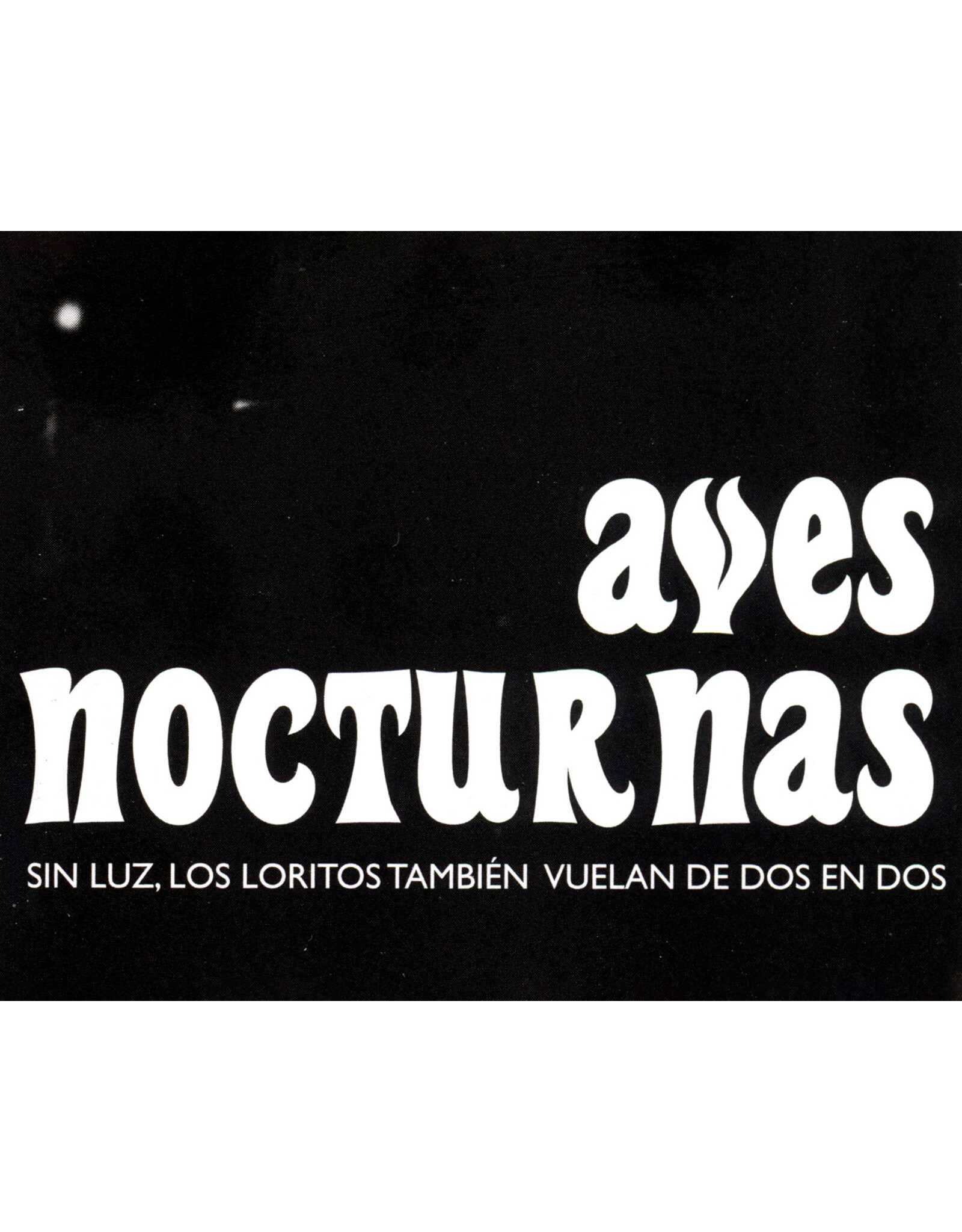 Valeria Giraldo: Aves nocturnas