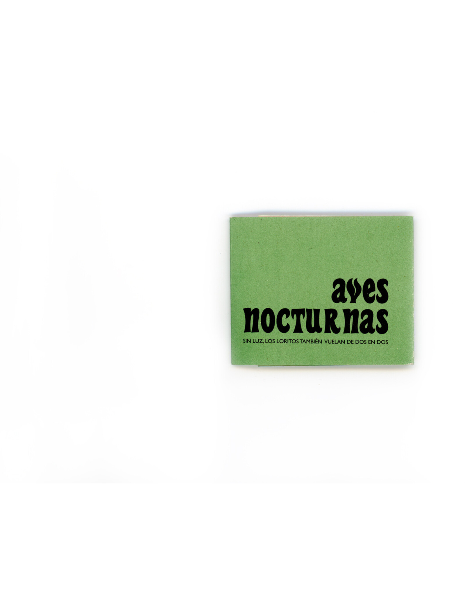 Valeria Giraldo: Aves nocturnas