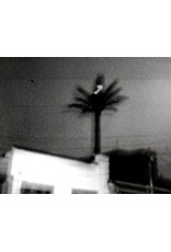 Valeria Giraldo: Aves nocturnas