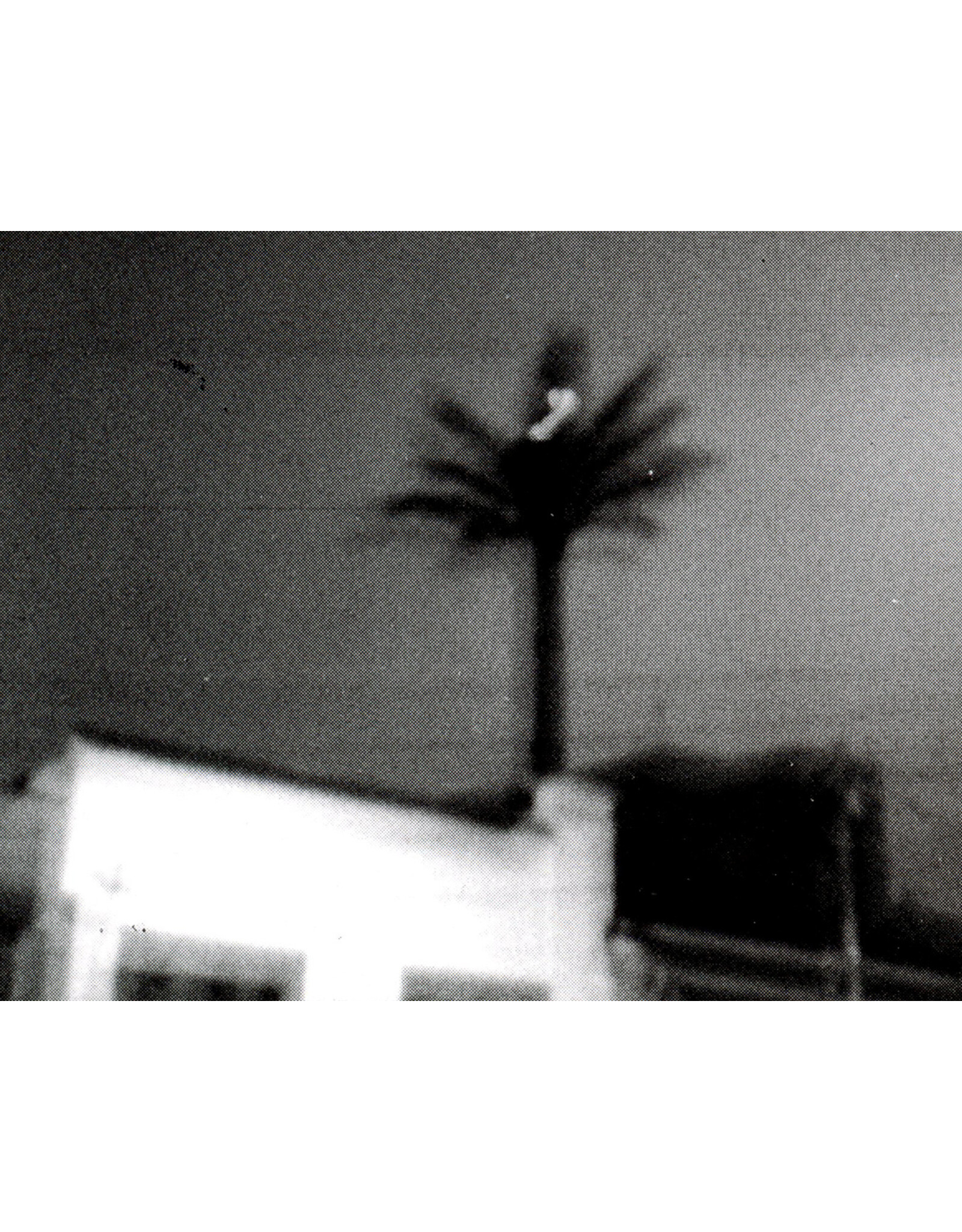 Valeria Giraldo: Aves nocturnas