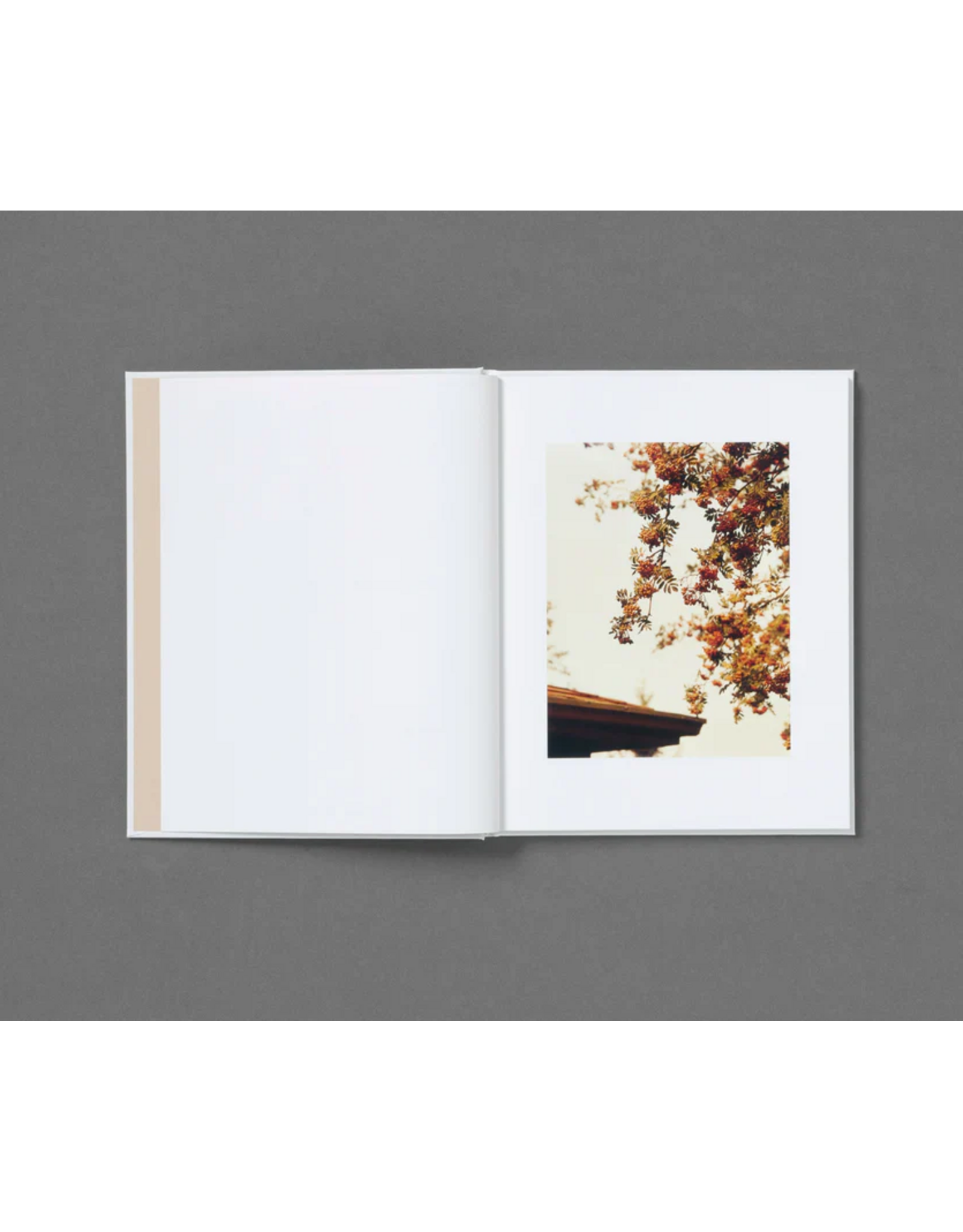 Roe Ethridge: In The Beginning