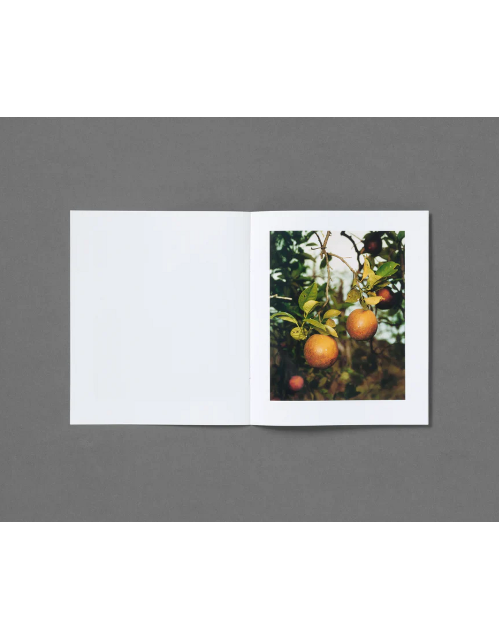 Roe Ethridge: In The Beginning (Preorder)