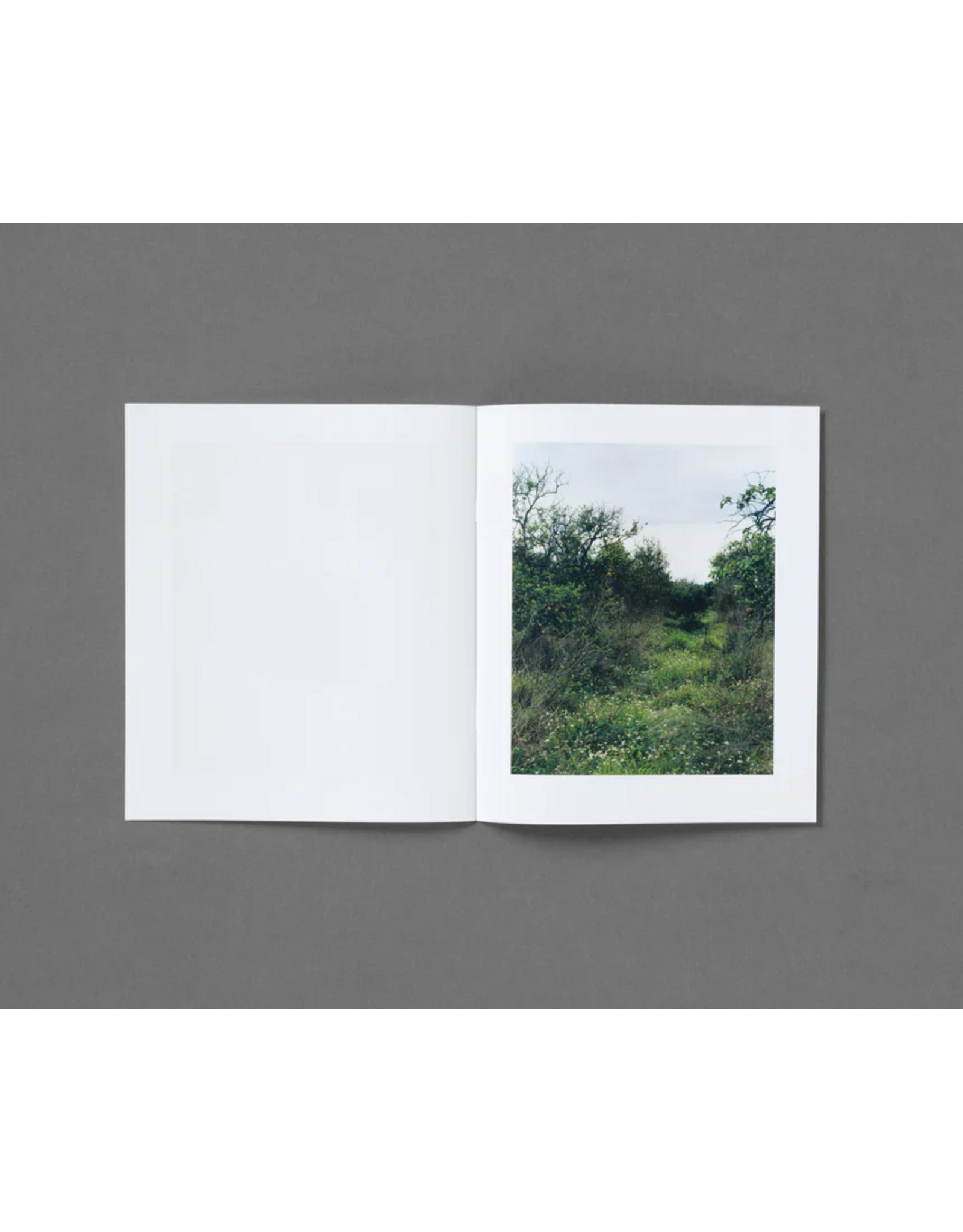 Roe Ethridge: In The Beginning