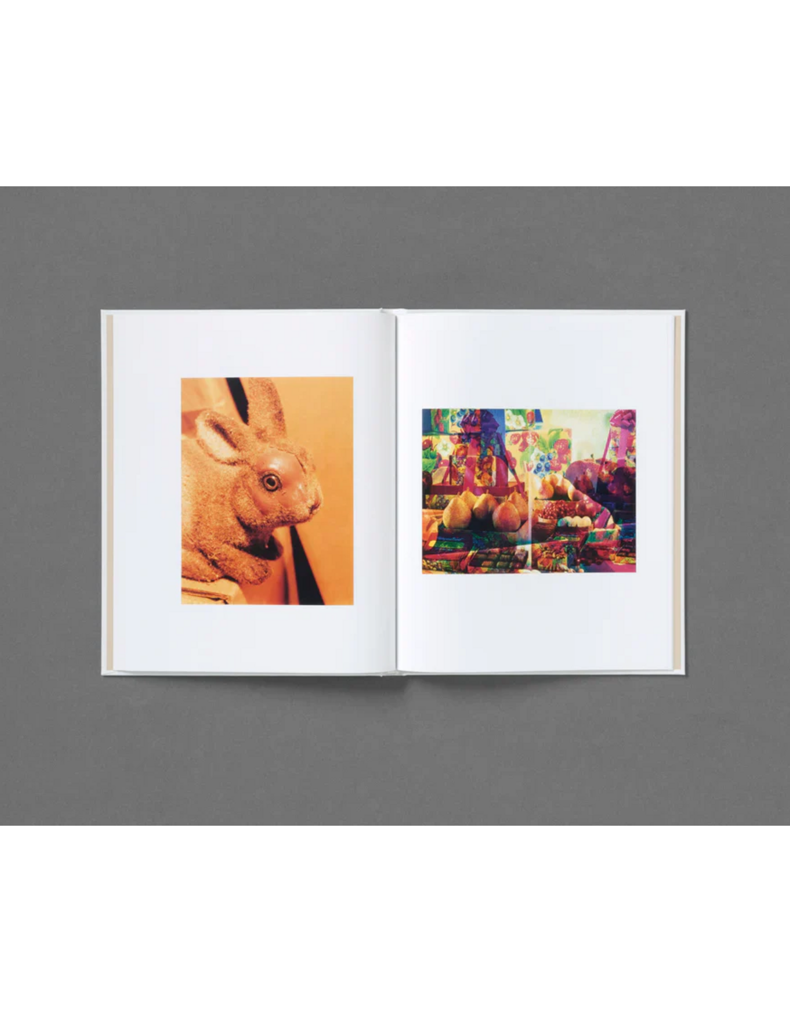 Roe Ethridge: In The Beginning (Preorder)