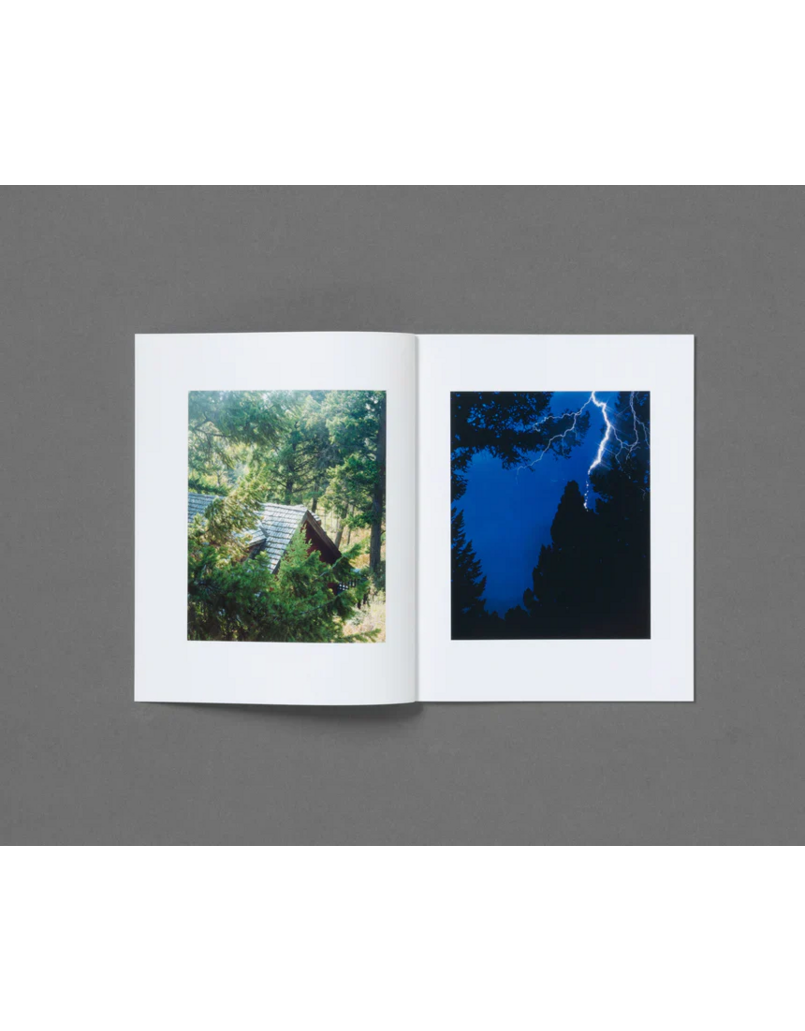 Roe Ethridge: In The Beginning