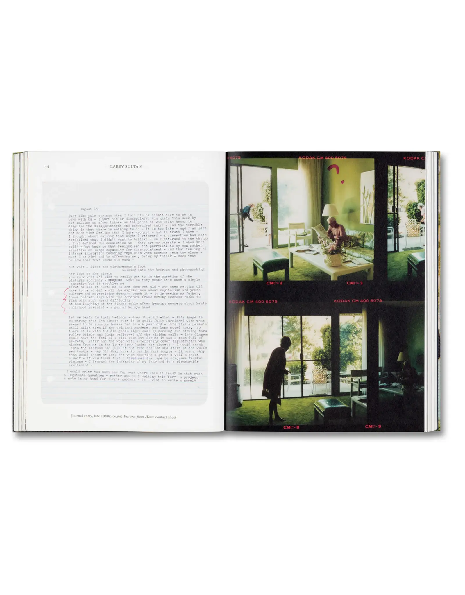 Larry Sultan: Water Over Thunder