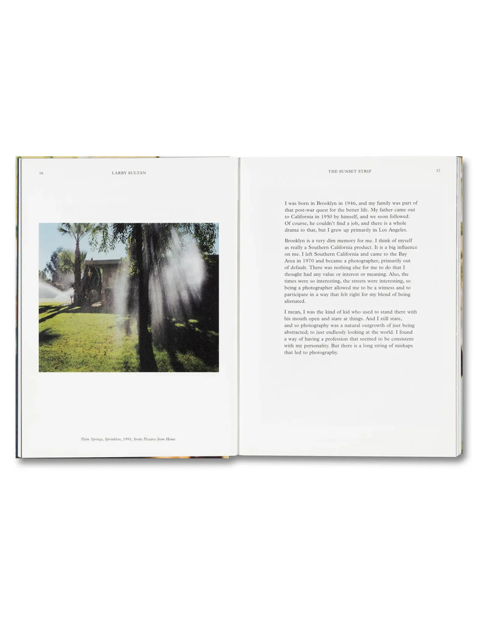 Larry Sultan: Water Over Thunder