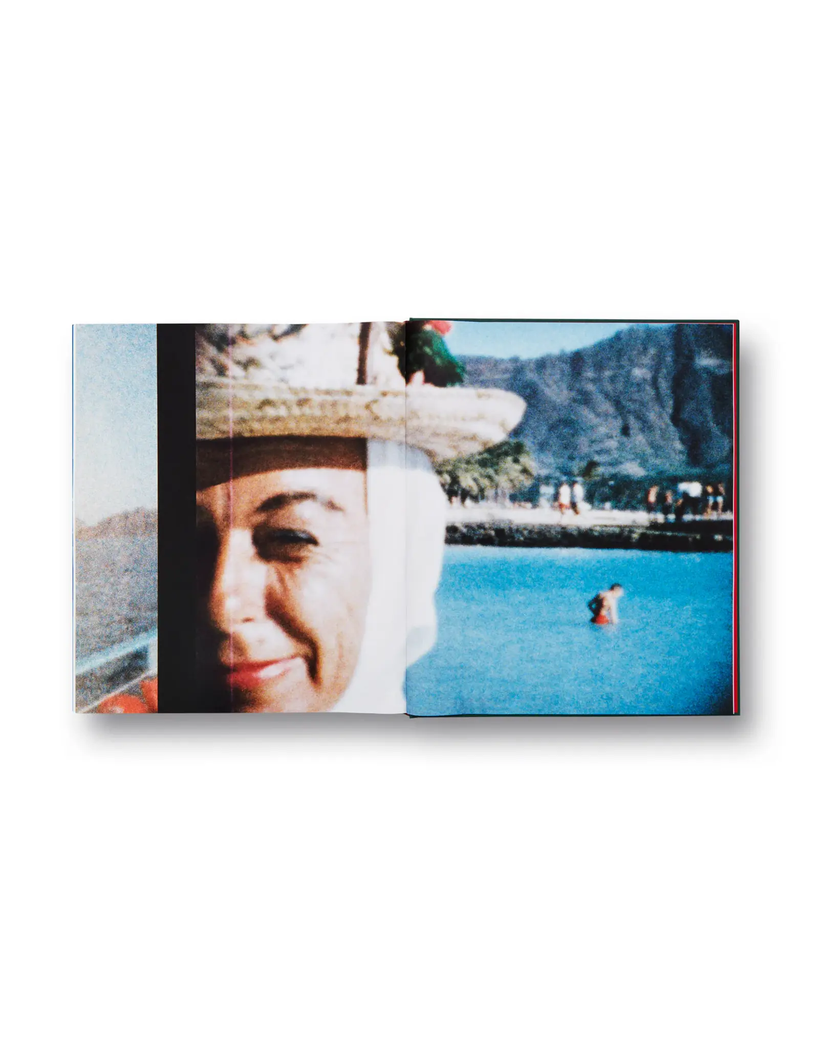 Larry Sultan: Pictures From Home