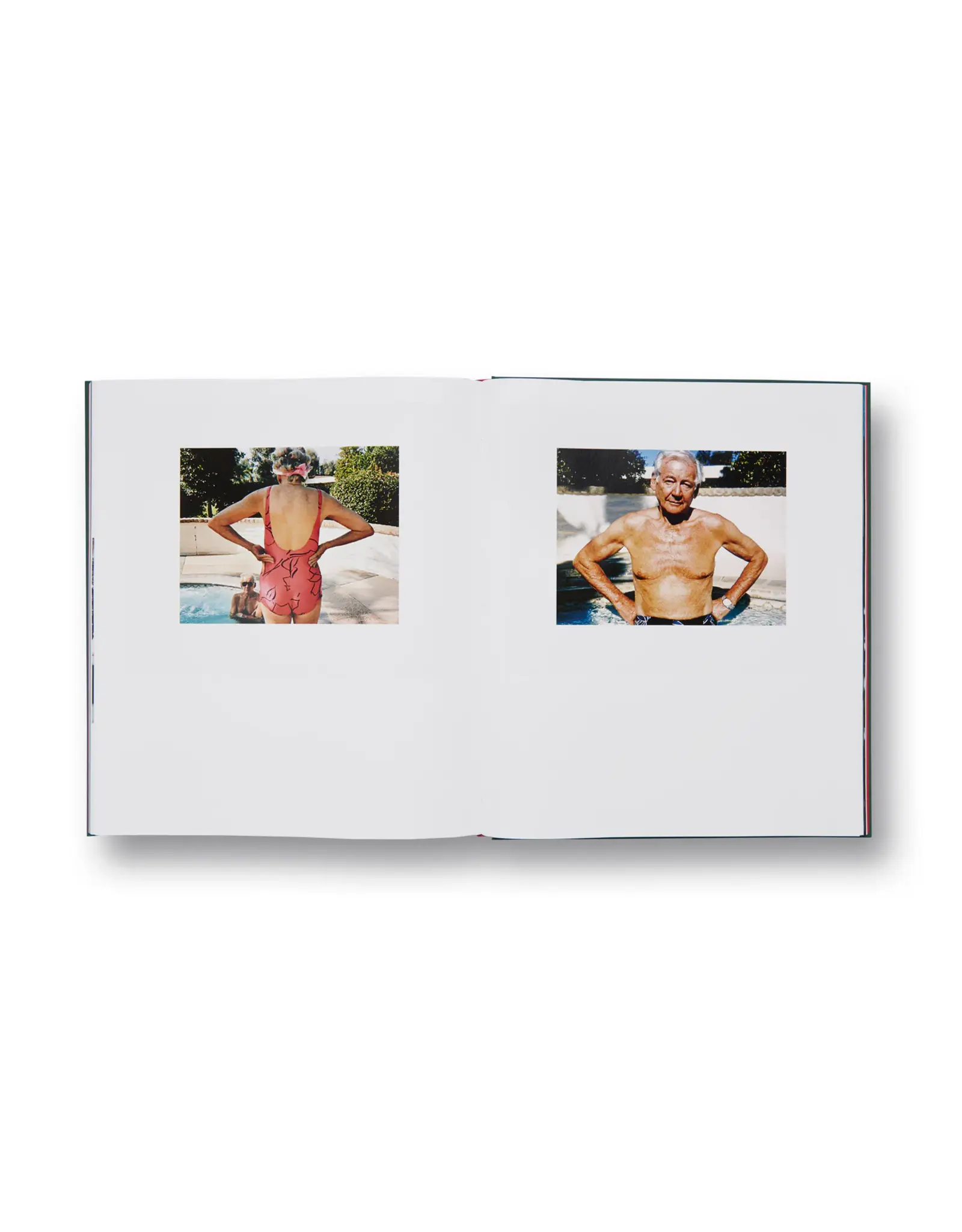 Larry Sultan: Pictures From Home