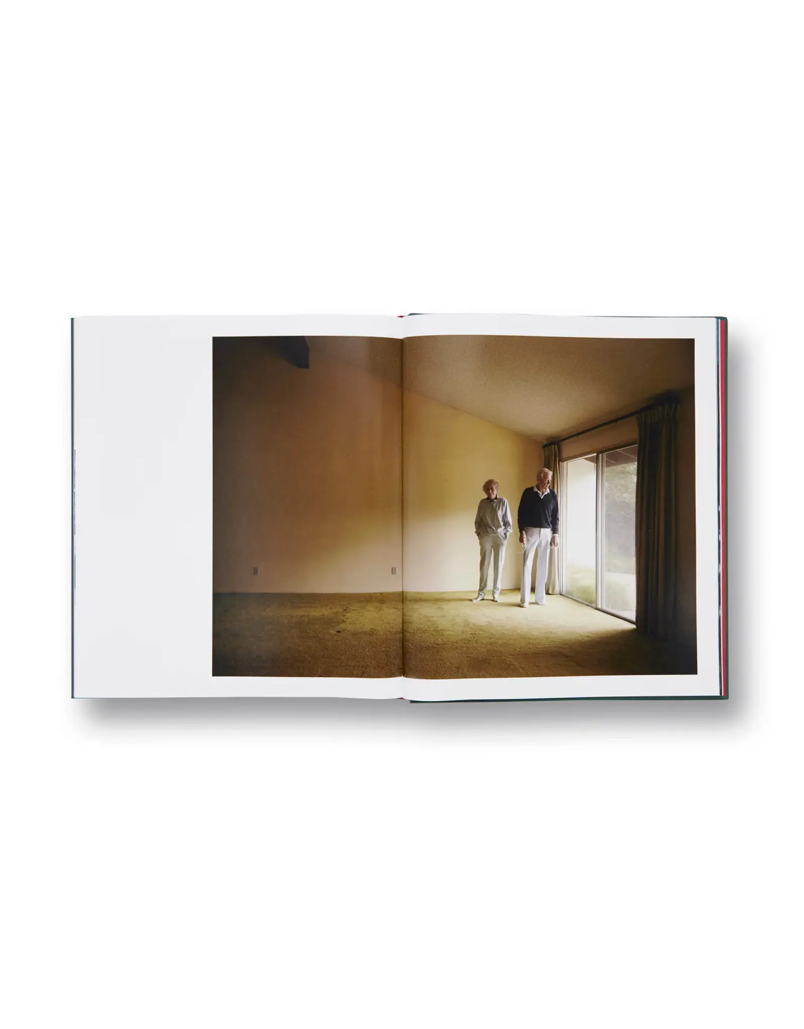 Larry Sultan: Pictures From Home