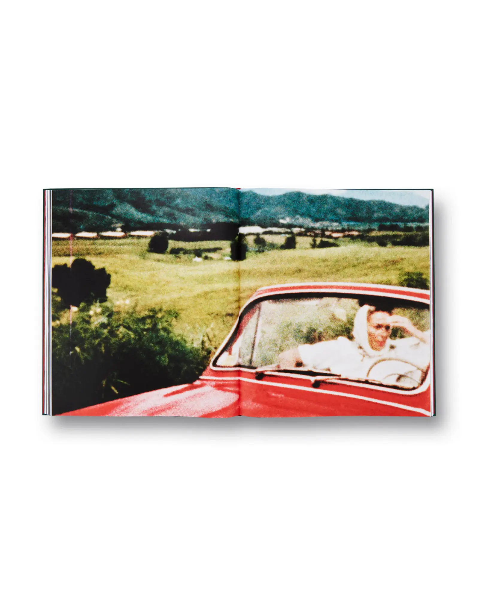 Larry Sultan: Pictures From Home