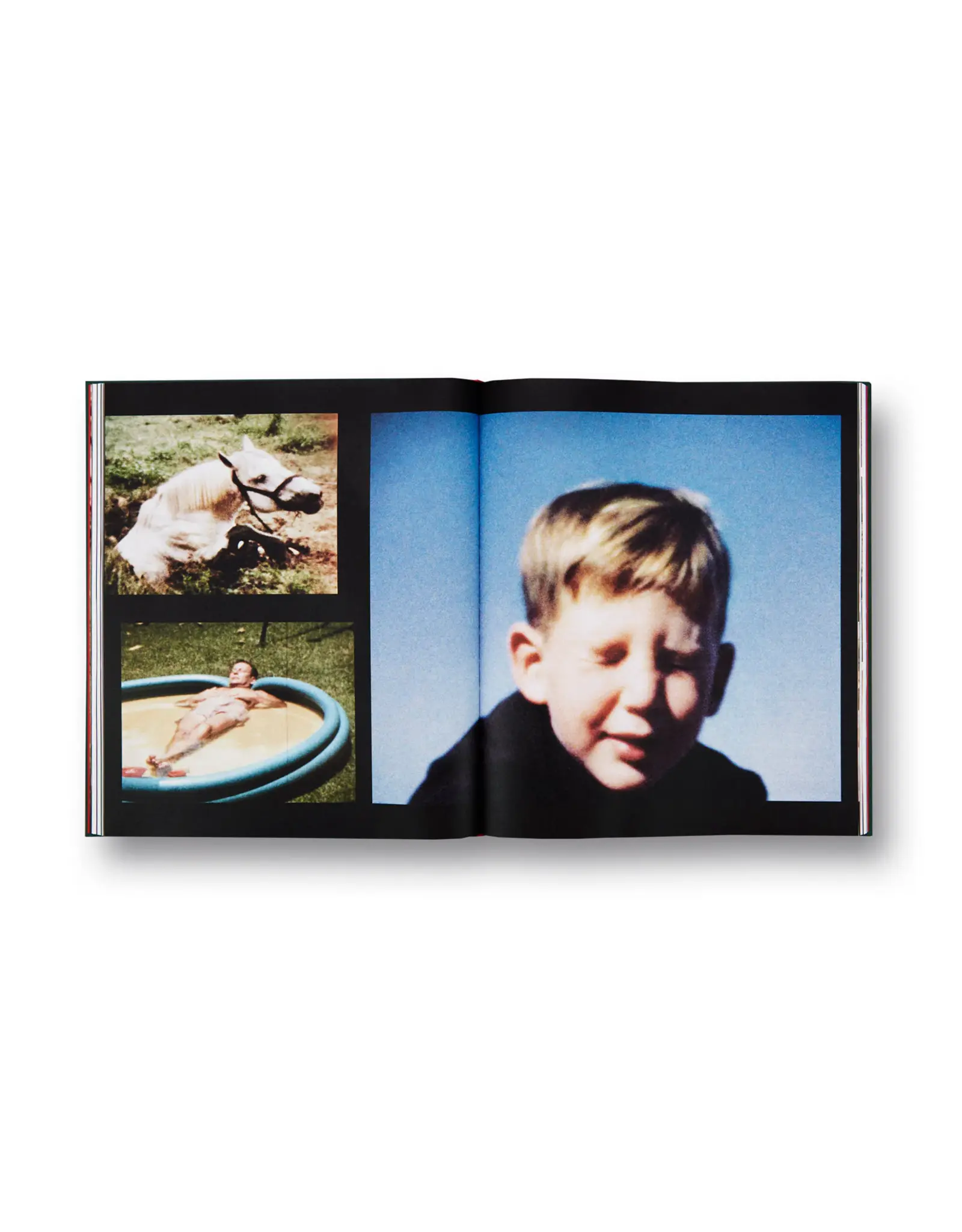 Larry Sultan: Pictures From Home