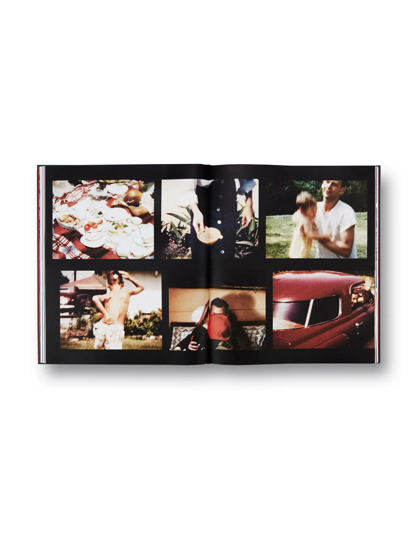 Larry Sultan: Pictures From Home