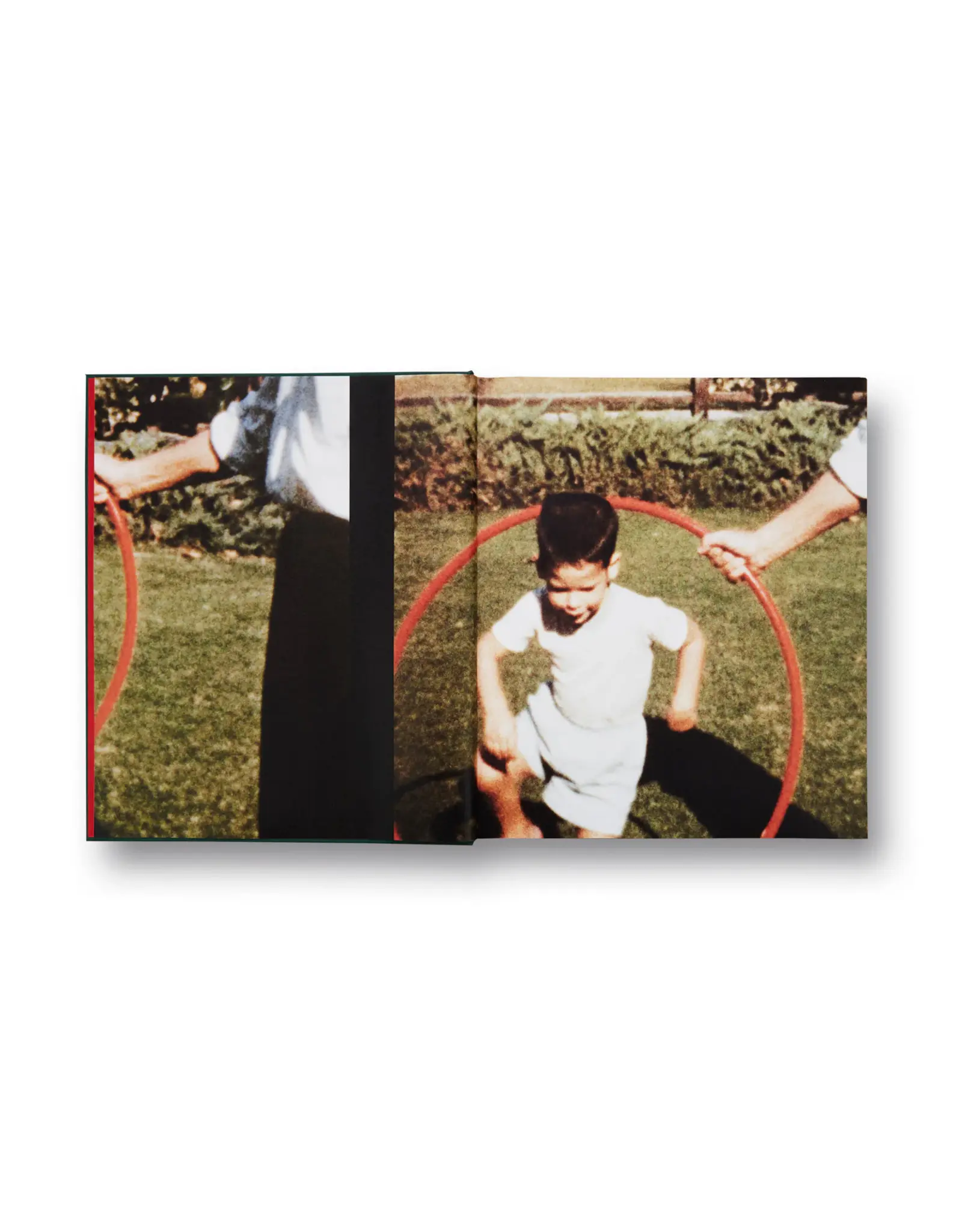 Larry Sultan: Pictures From Home