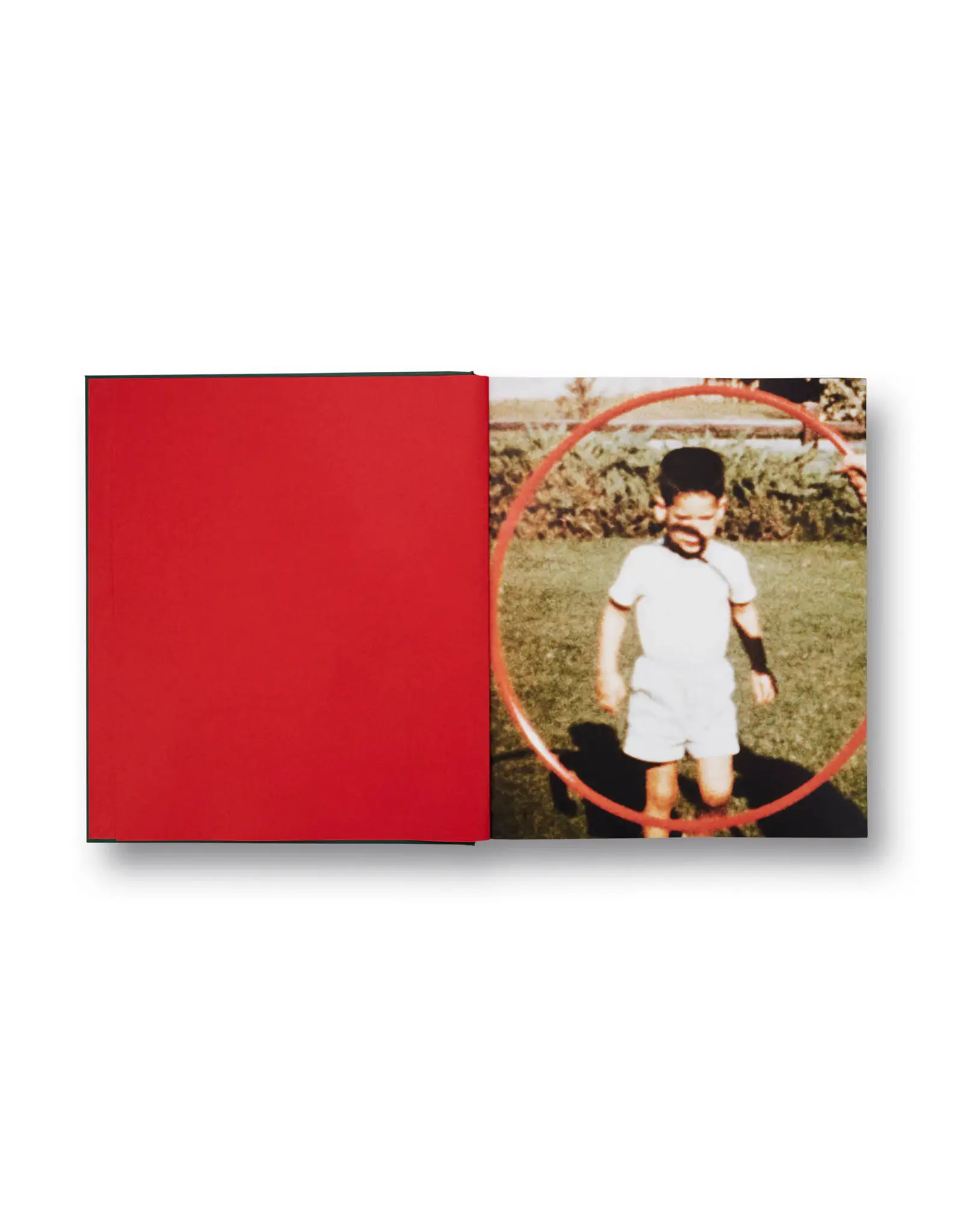 Larry Sultan: Pictures From Home