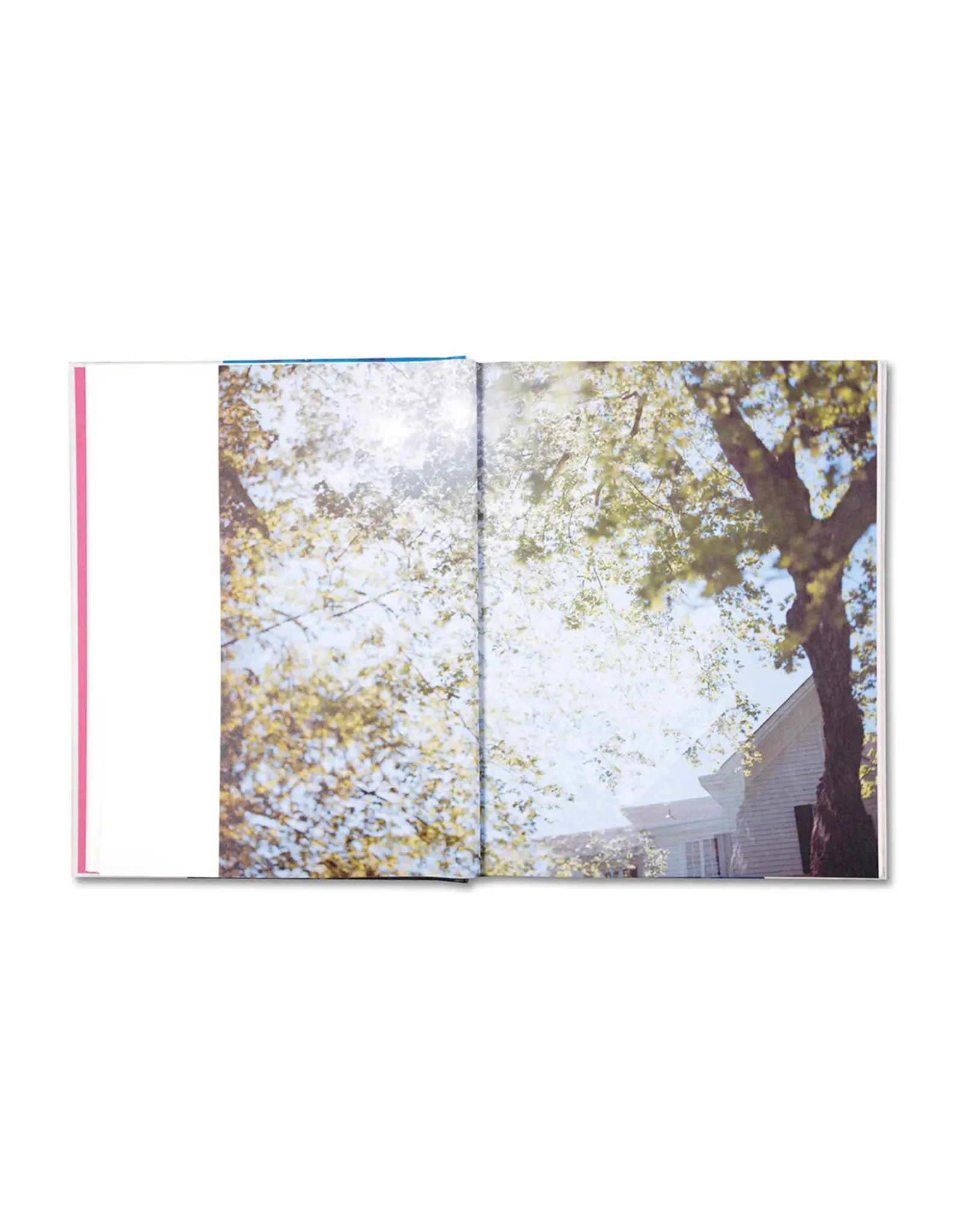 Ahndraya Parlato: Who is Changed and Who is Dead (preorder)