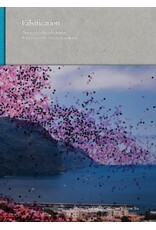 Seba Kurtis/Hiromi Kawakami: Falsification